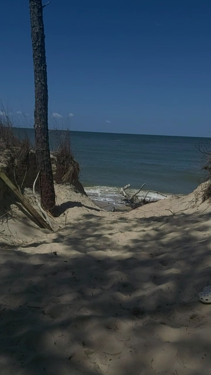 Savage Neck Dunes Natural Area Preserve - Cape Charles, VA