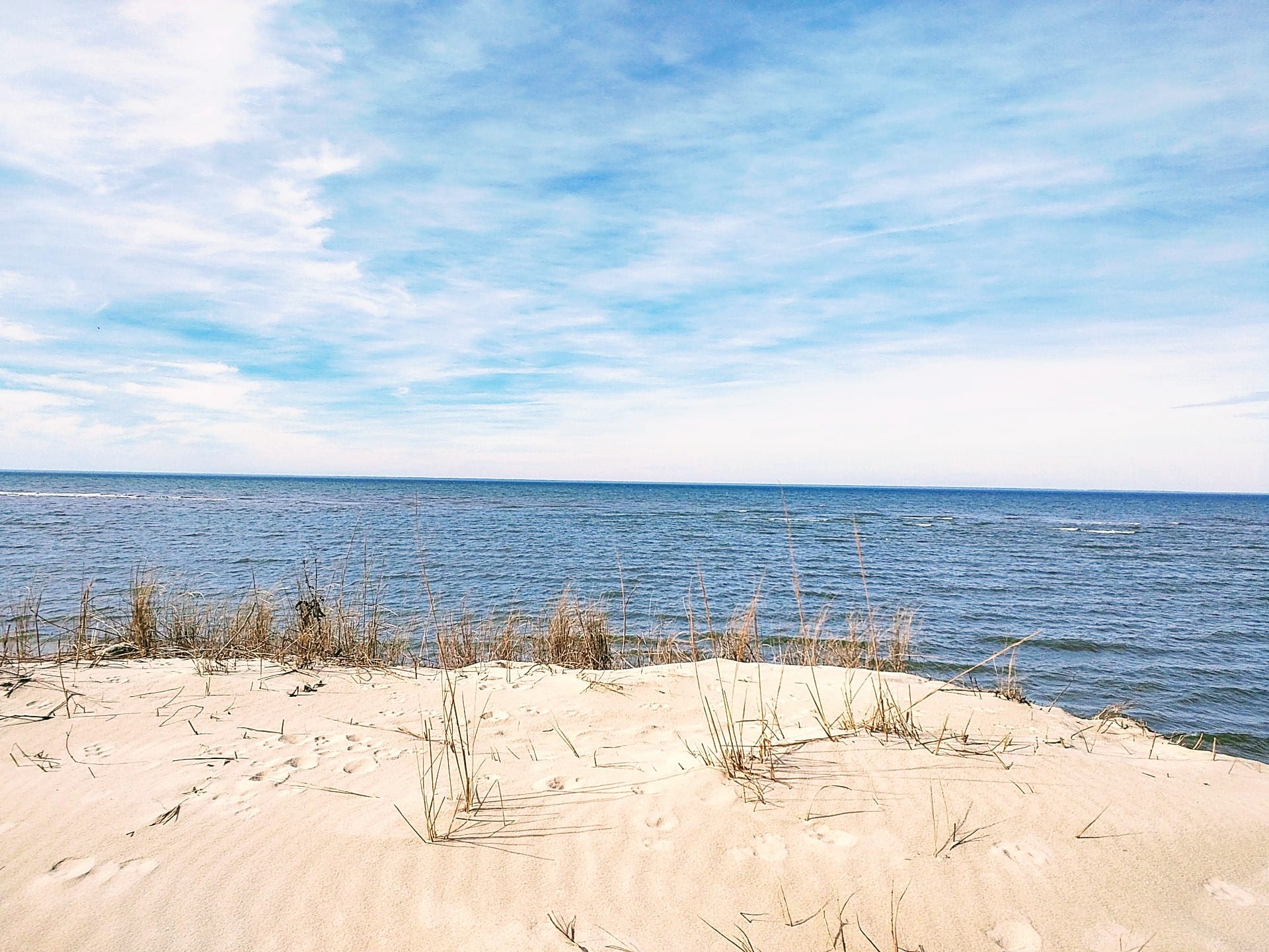 Savage Neck Dunes Natural Area Preserve - Cape Charles, VA