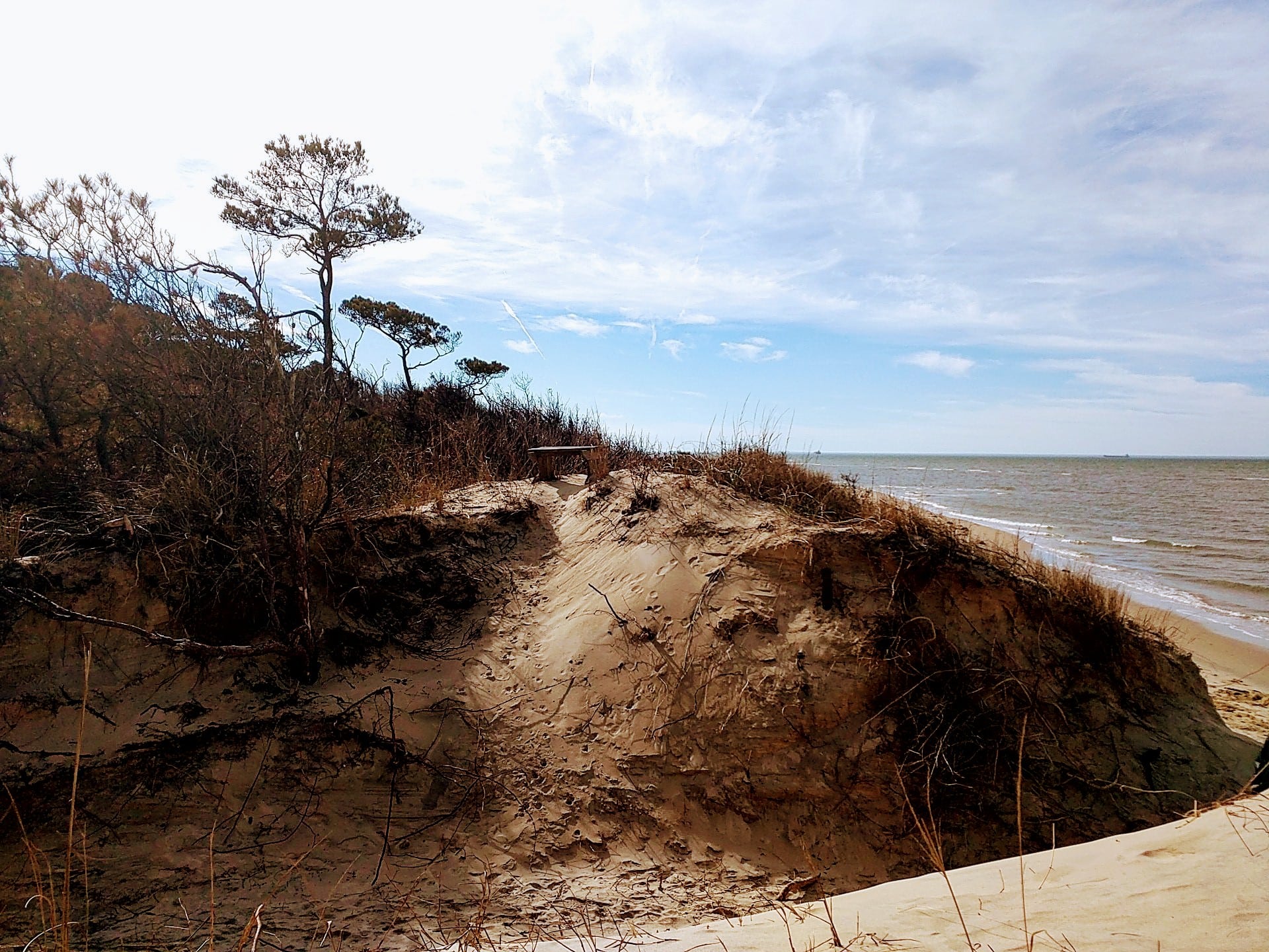 Savage Neck Dunes Natural Area Preserve - Cape Charles, VA