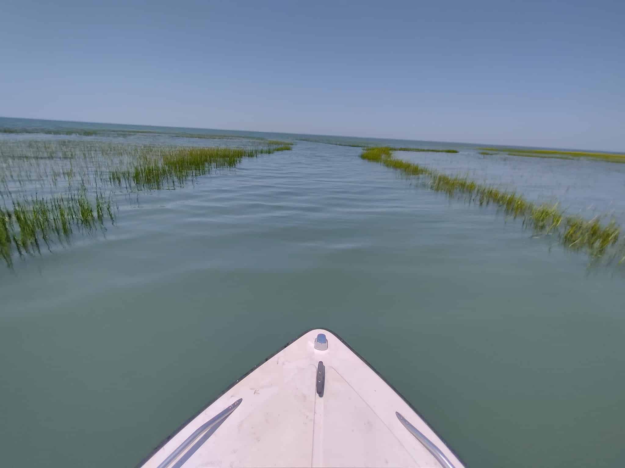 Wreck Island Natural Area Preserve - Cape Charles, VA