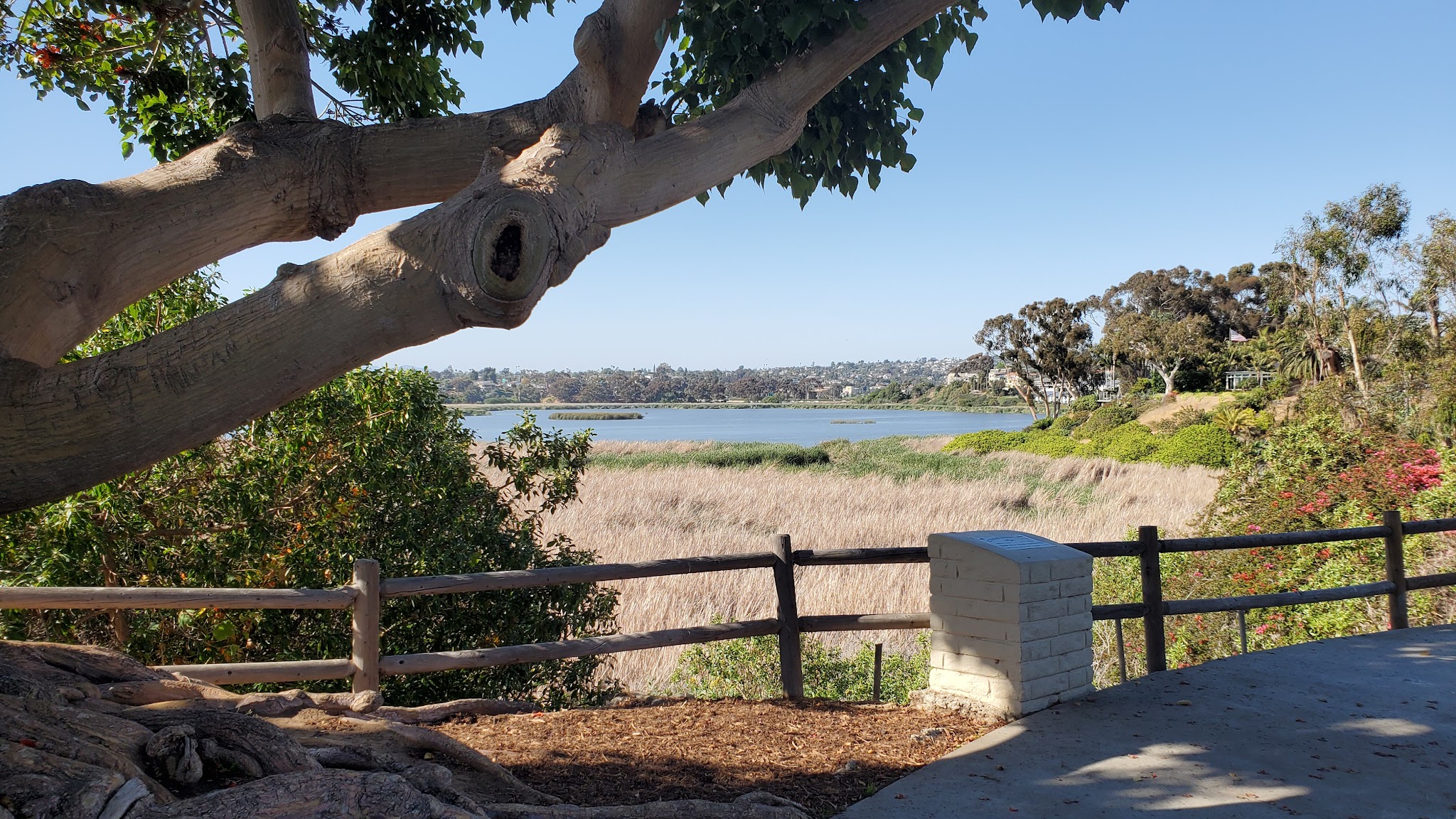 Maxton Brown Park - Carlsbad, CA