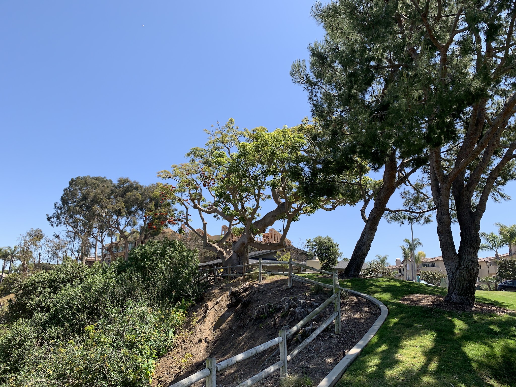 Maxton Brown Park - Carlsbad, CA