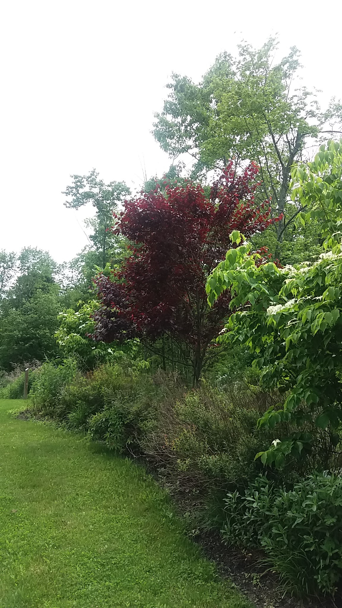 Camarda Park - Carmel Hamlet, NY