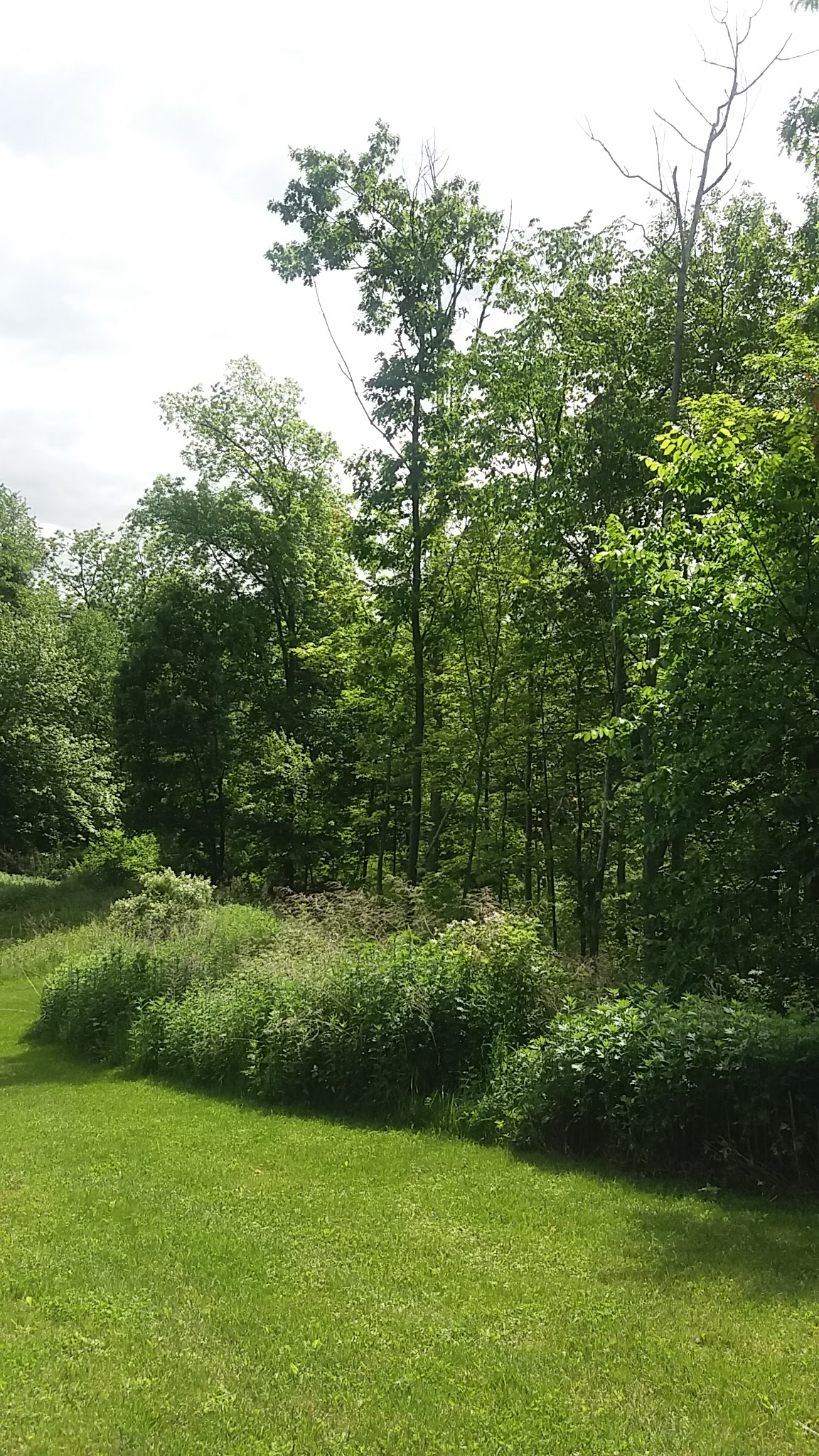 Camarda Park - Carmel Hamlet, NY