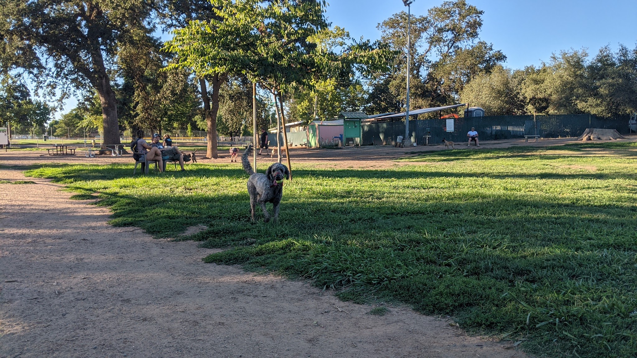 Carmichael Park Off Leash Dog Park - Carmichael, CA
