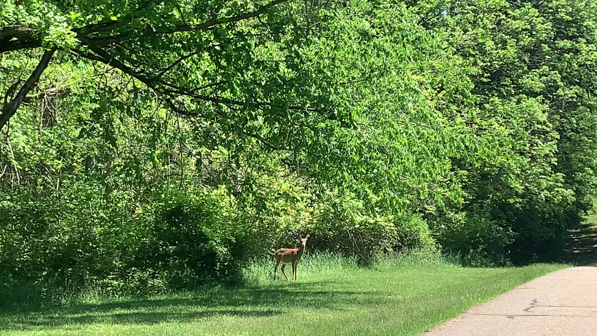 Carnegie Park - Carnegie, PA
