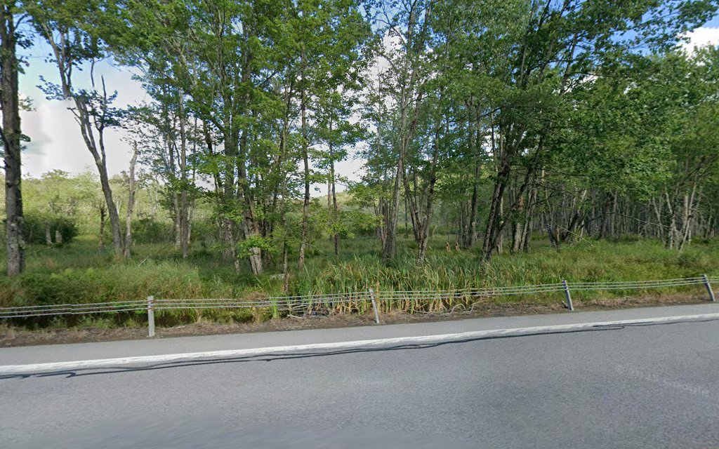 Bowermans Bog - Caroga Lake, NY