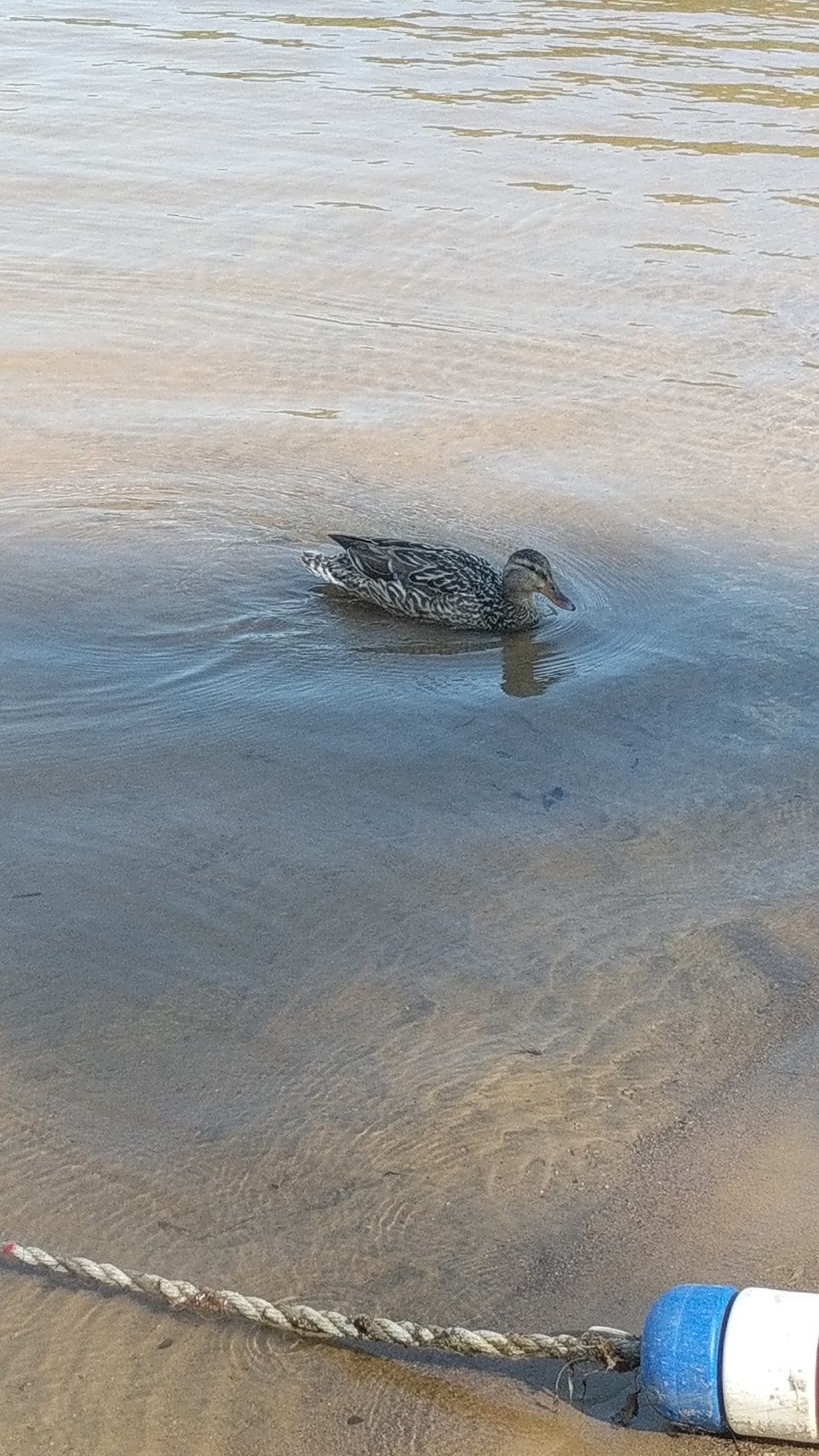 Pine Lake Park - Caroga Lake, NY