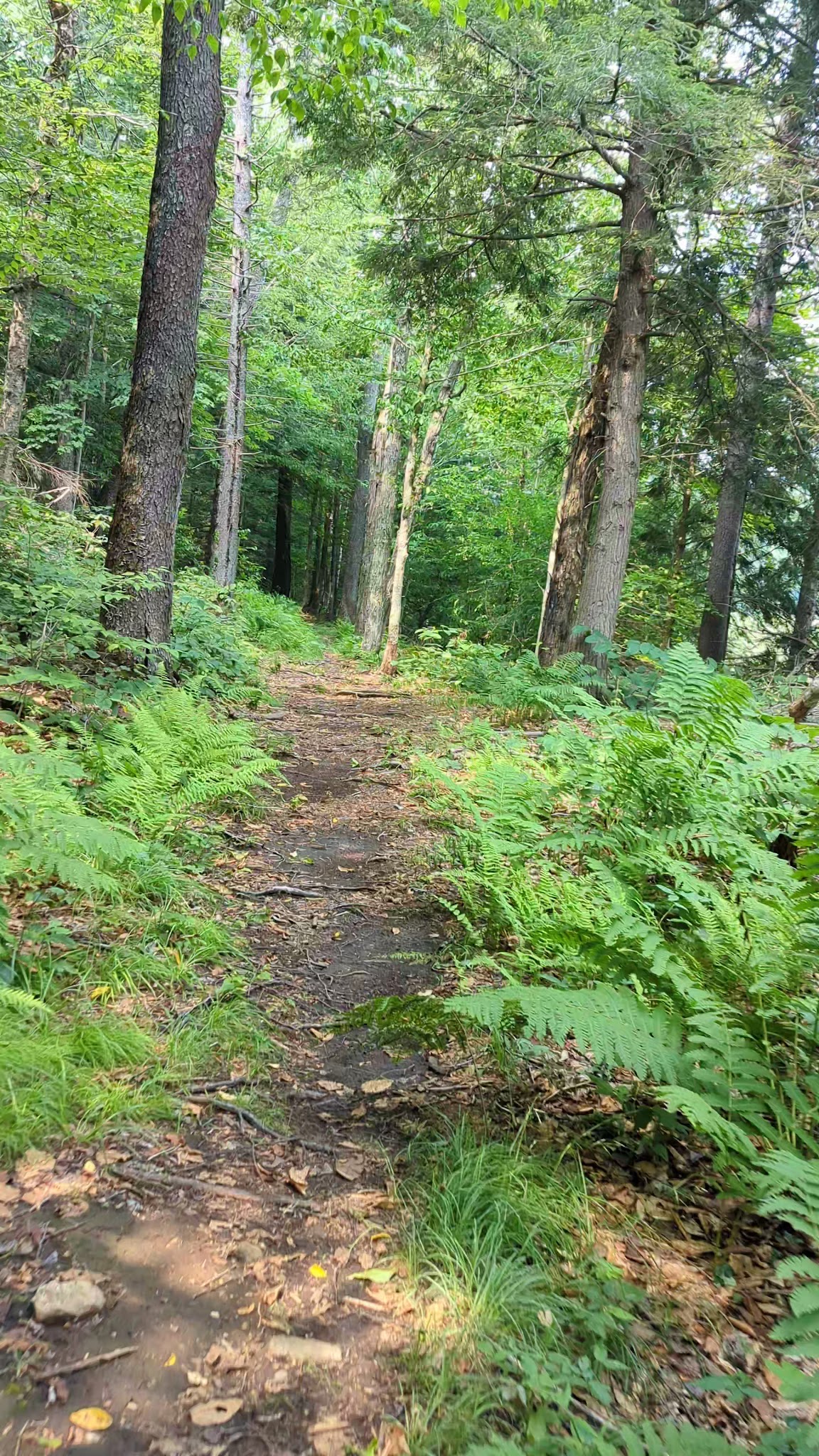 Nine Corner Lake Trailhead - Caroga, NY