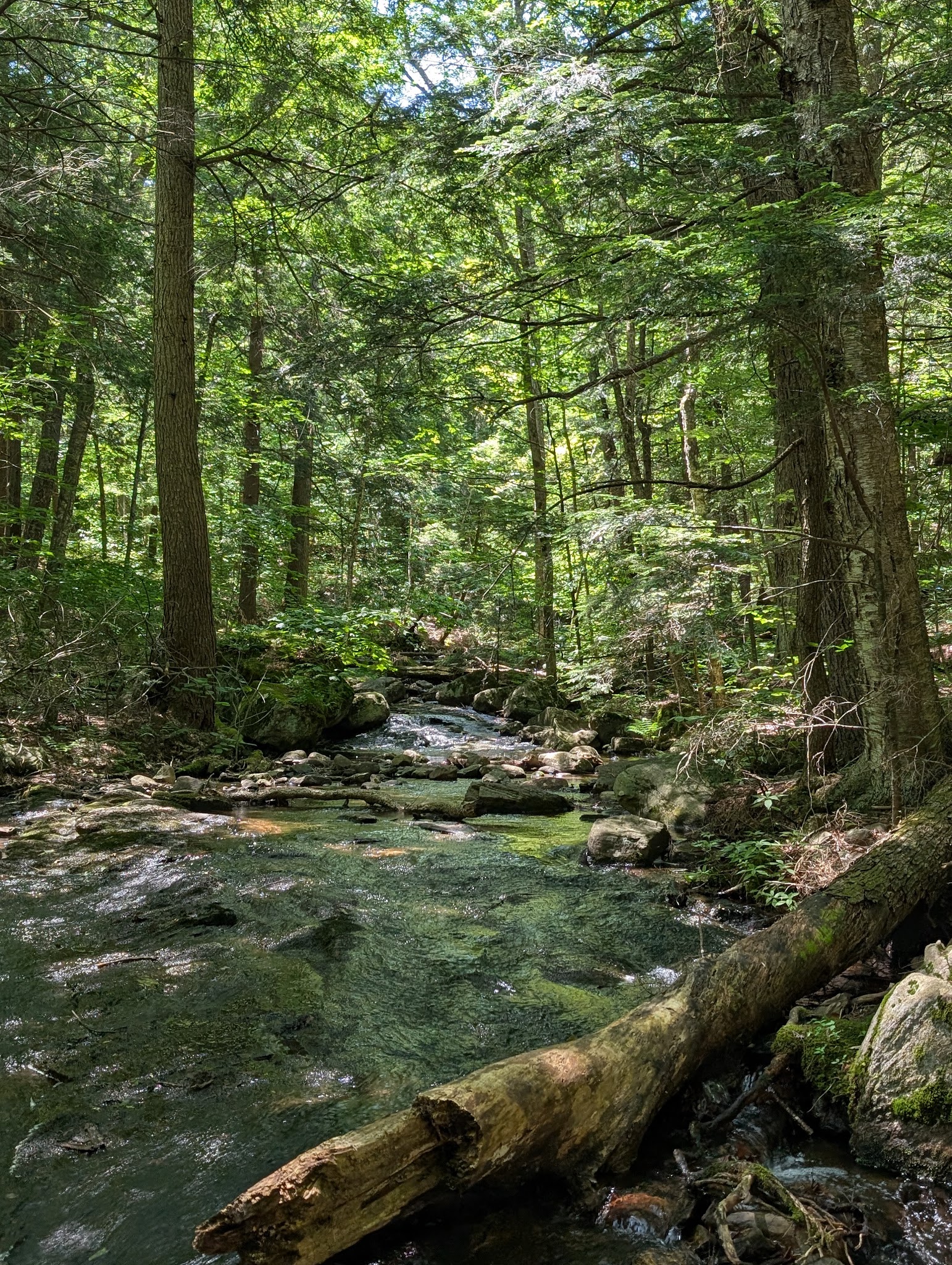 Nine Corner Lake Trailhead - Caroga, NY