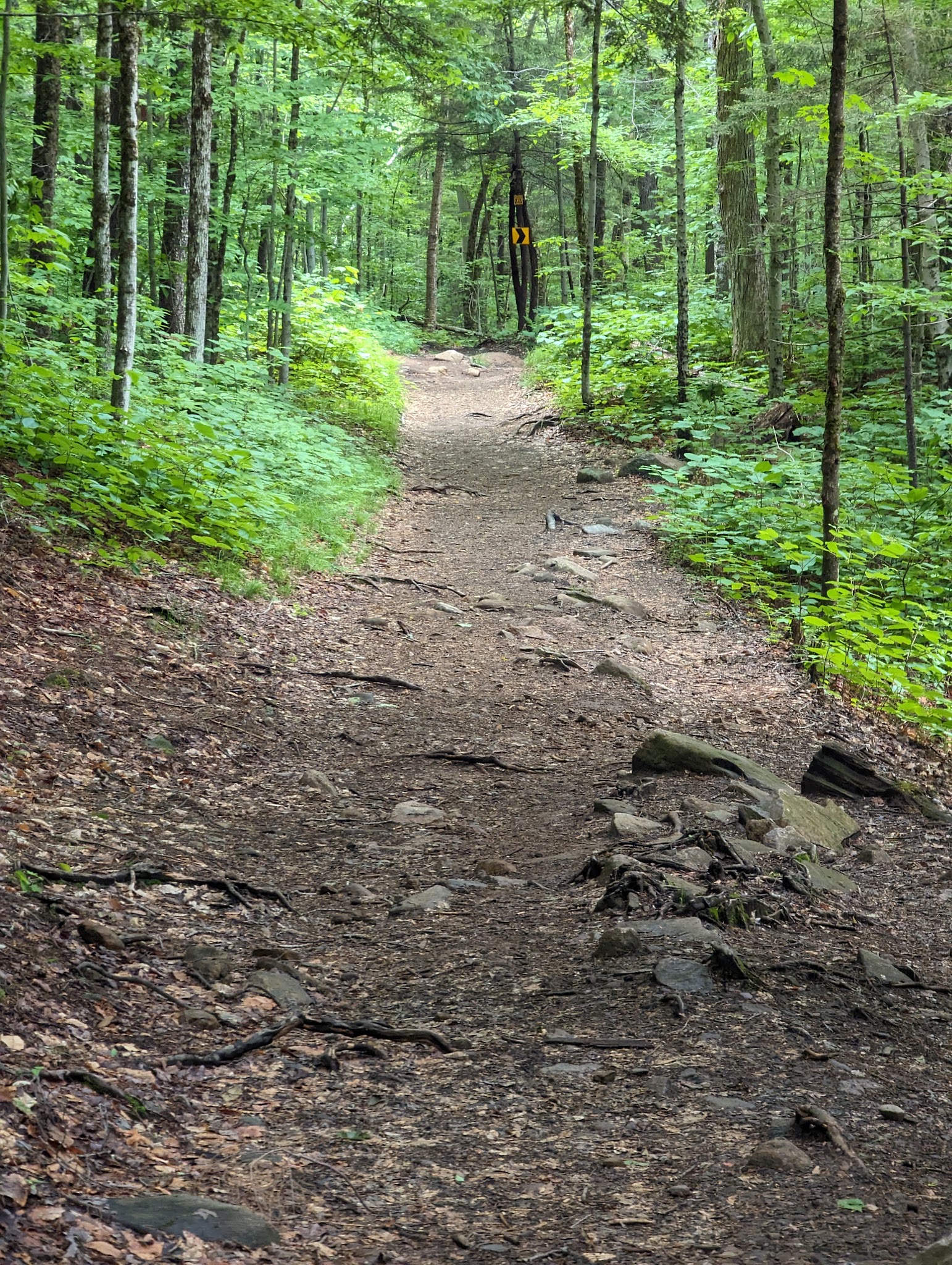 Nine Corner Lake Trailhead - Caroga, NY