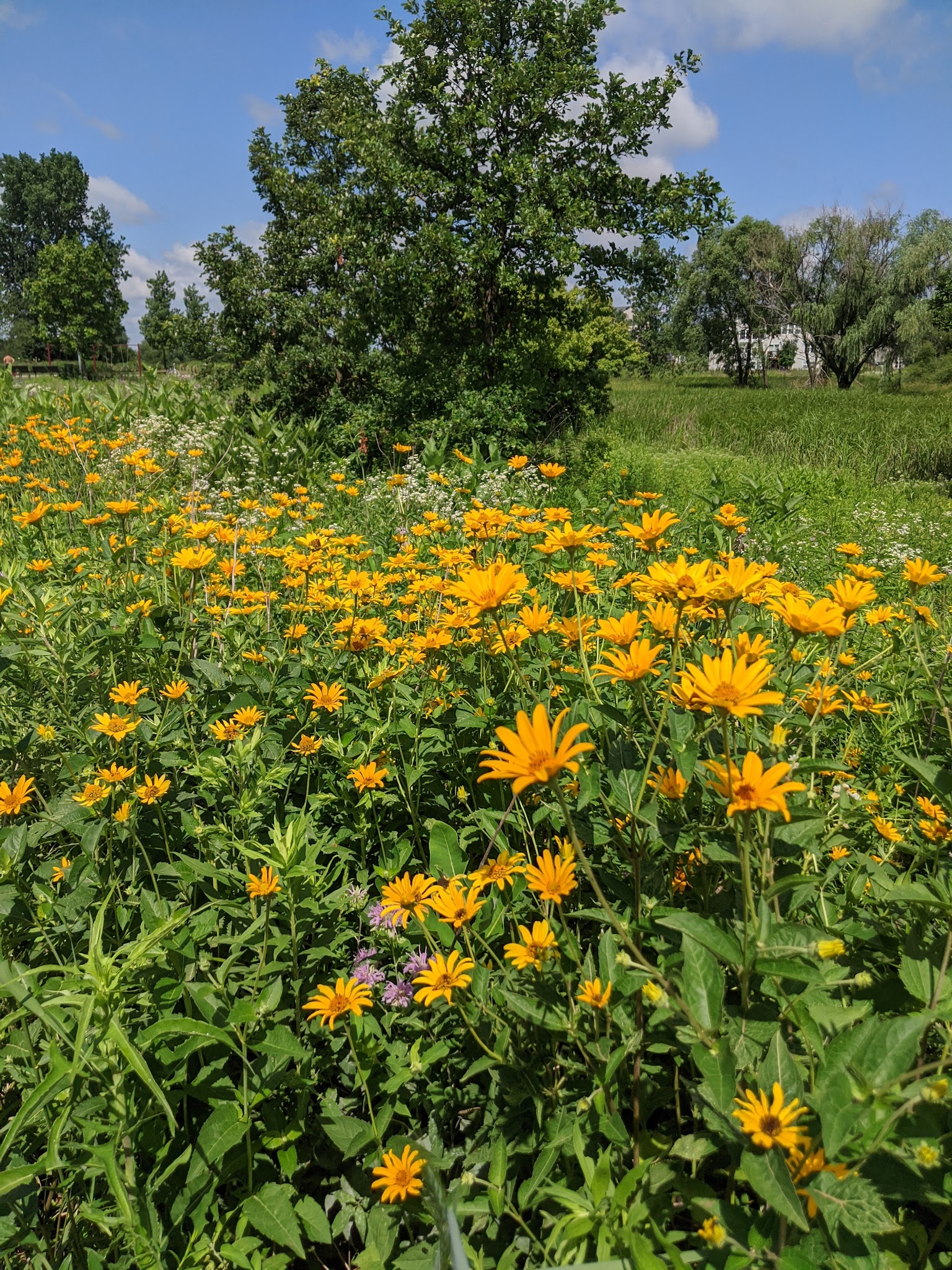 Deerpath Park - Carpentersville, IL
