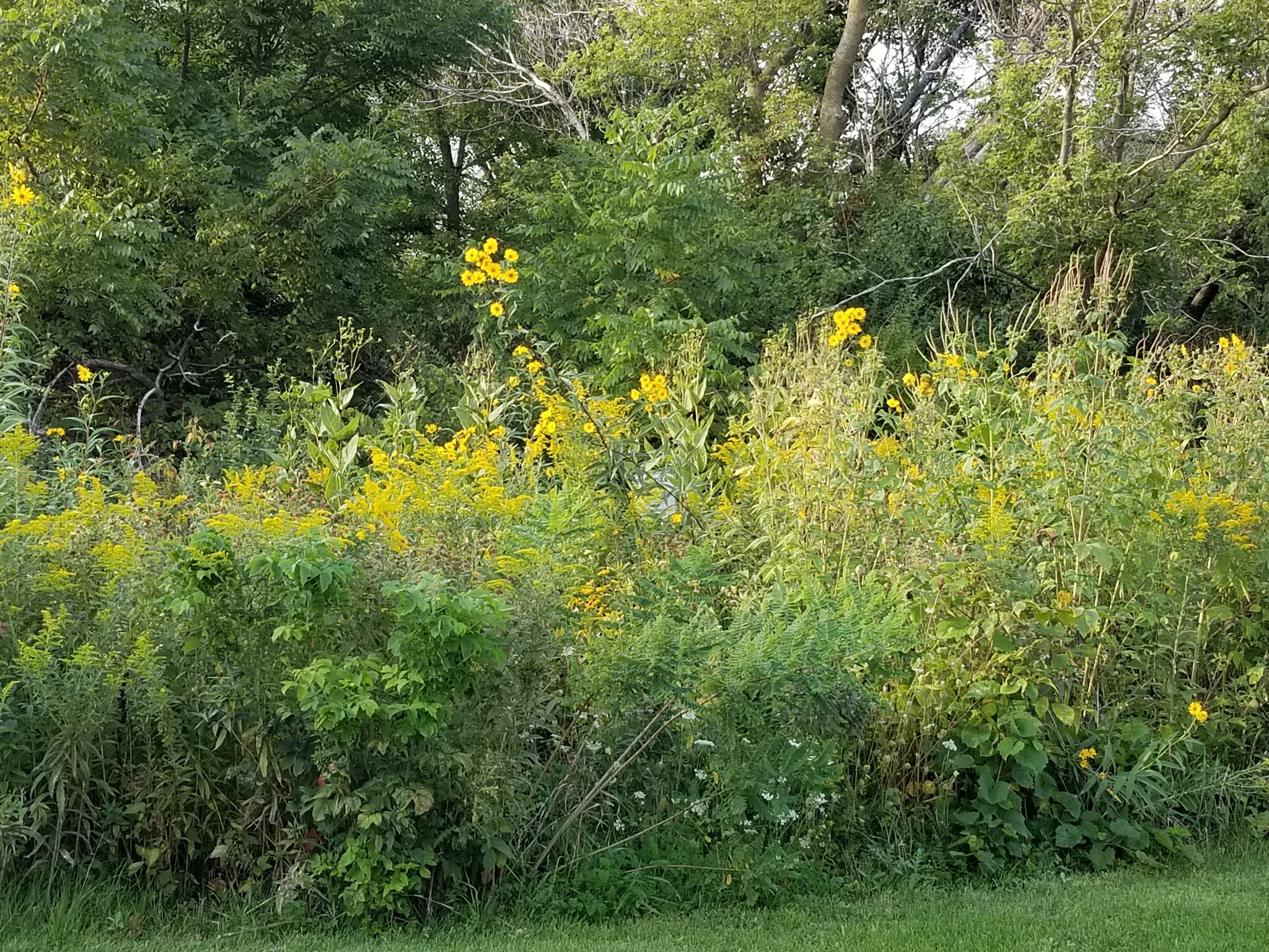 Grandview Park - Carpentersville, IL