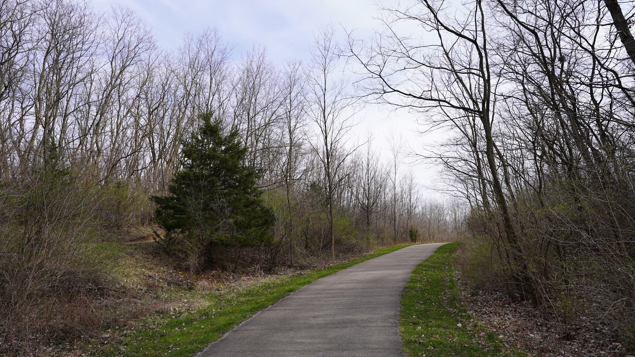 Raceway Woods East Parking Area - Carpentersville, IL
