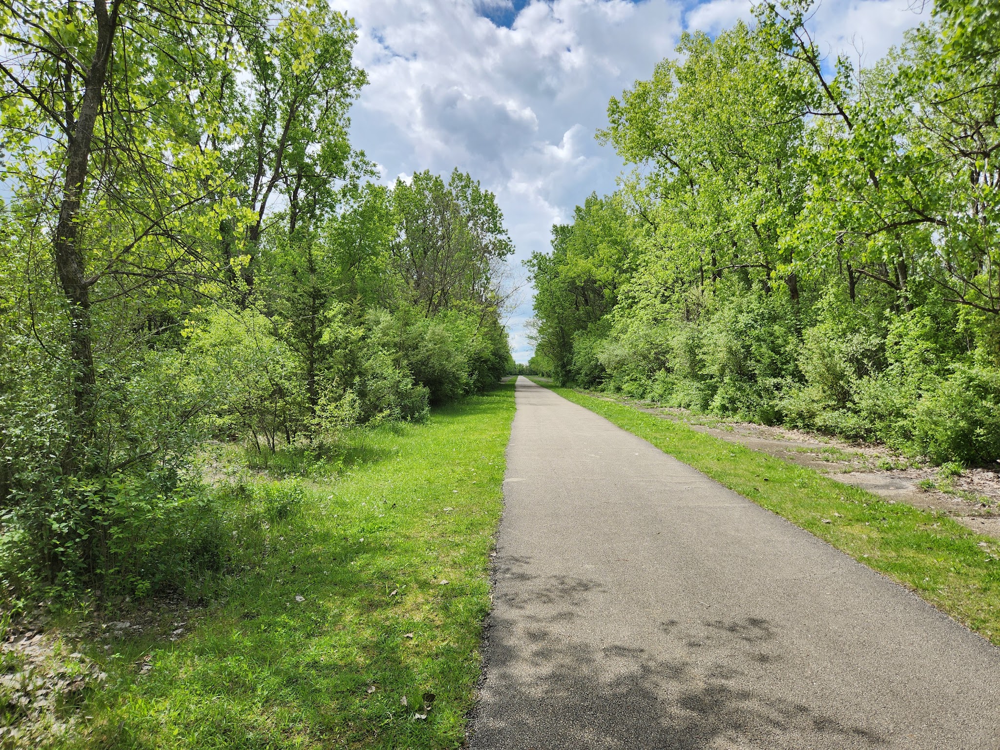 Raceway Woods Forest Preserve - Carpentersville, IL