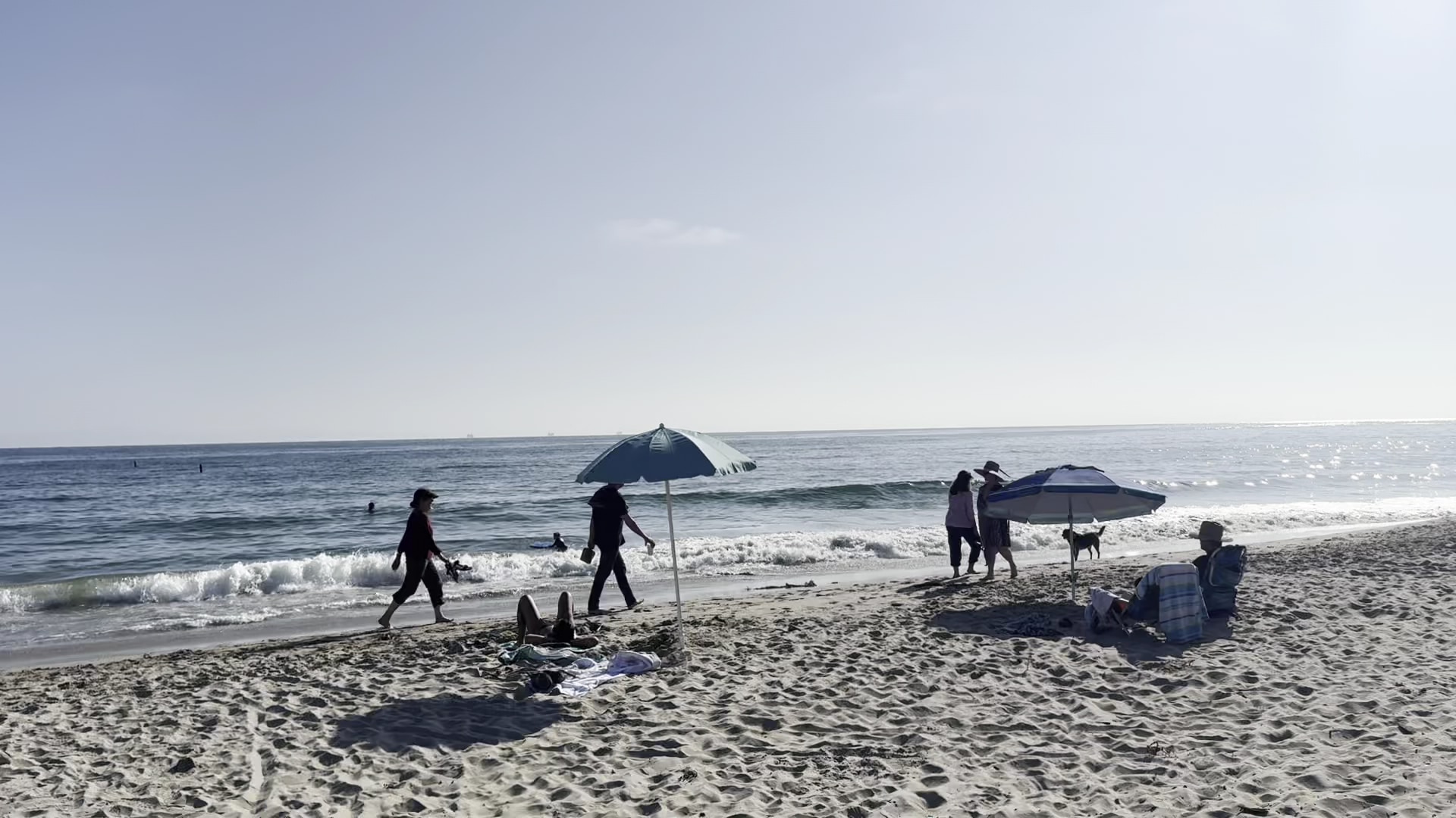 Carpinteria Dog Beach - Carpinteria, CA