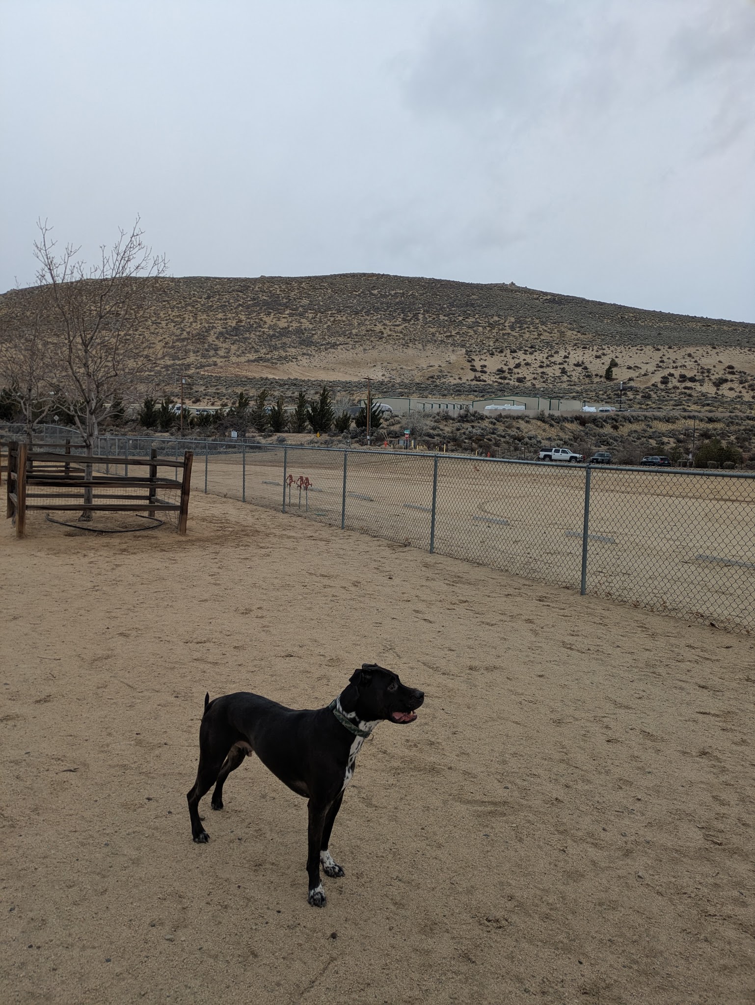 Fuji Park Dog Park - Carson City, NV