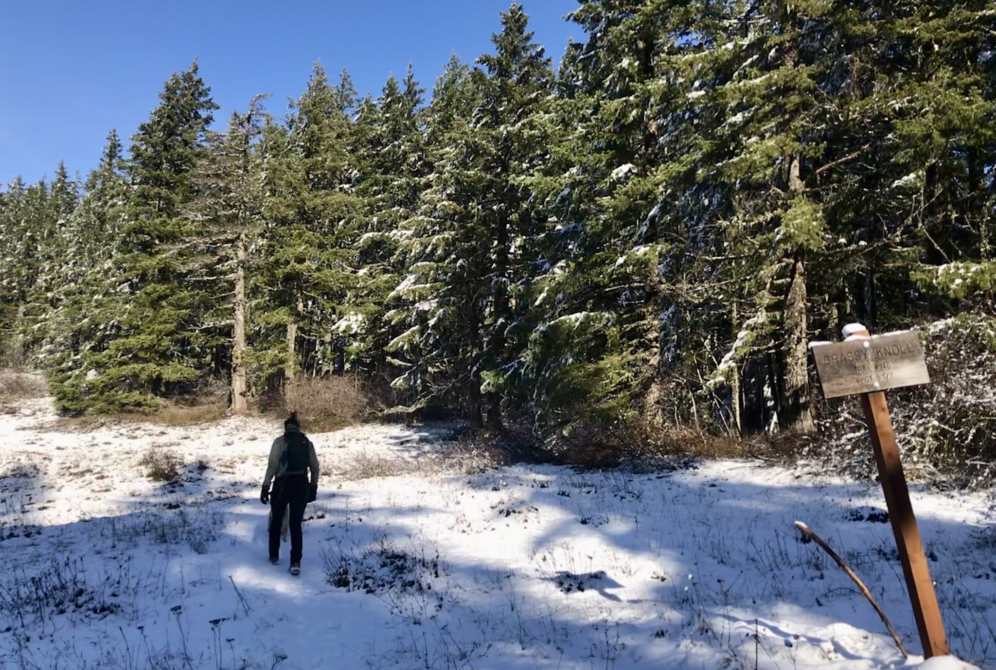 Grassy Knoll Trailhead - Carson, WA