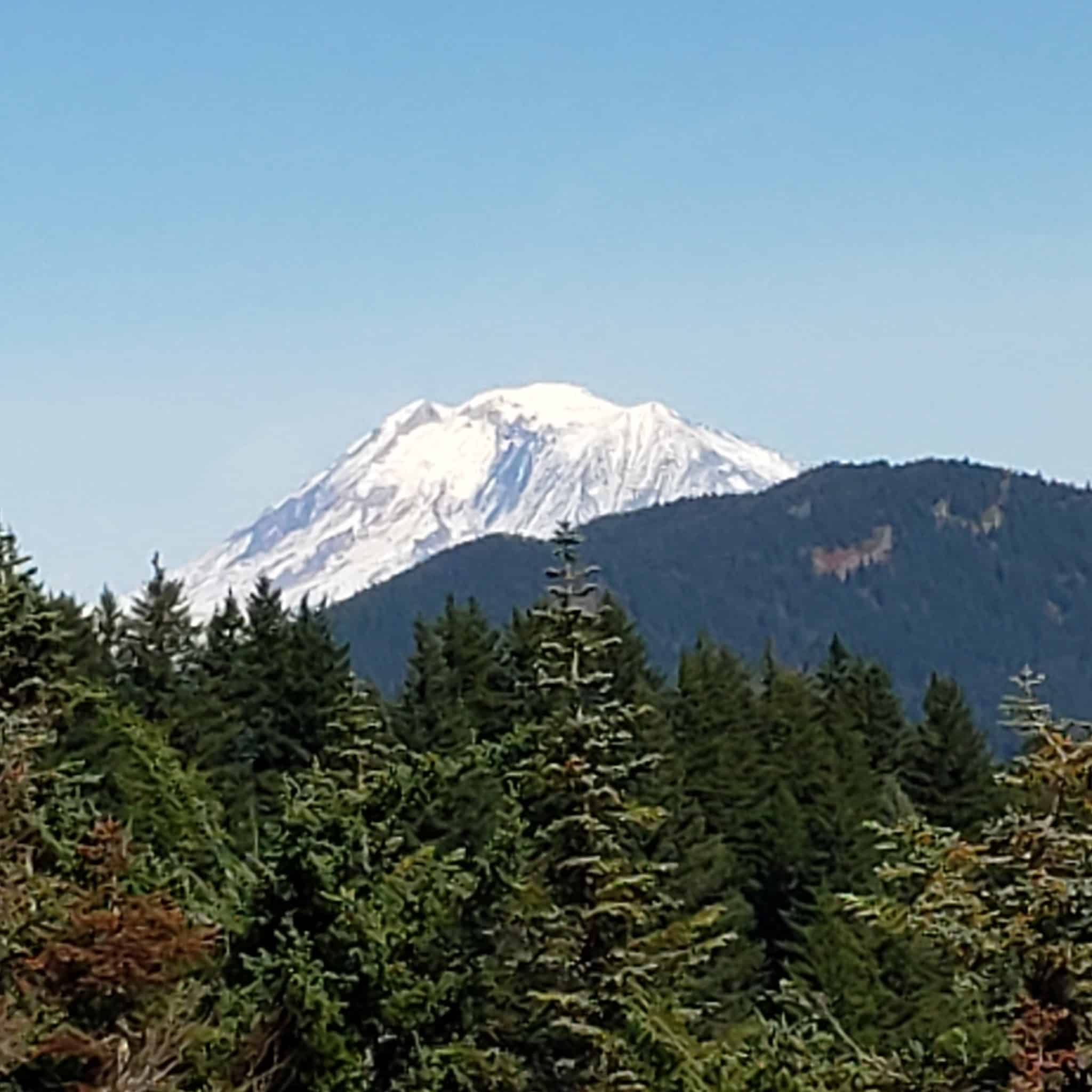 Grassy Knoll Trailhead - Carson, WA
