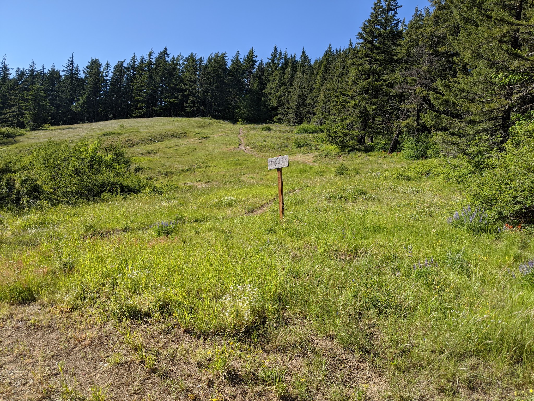 Grassy Knoll Trailhead - Carson, WA