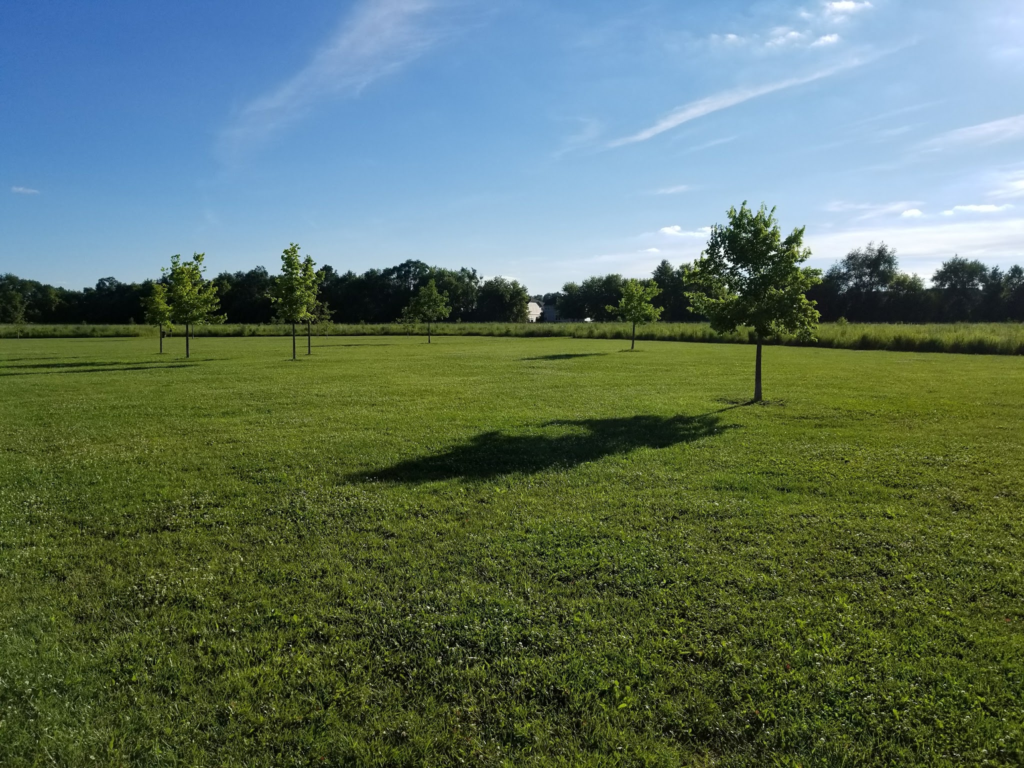 Dog Park at Hoffman Park - Cary, IL