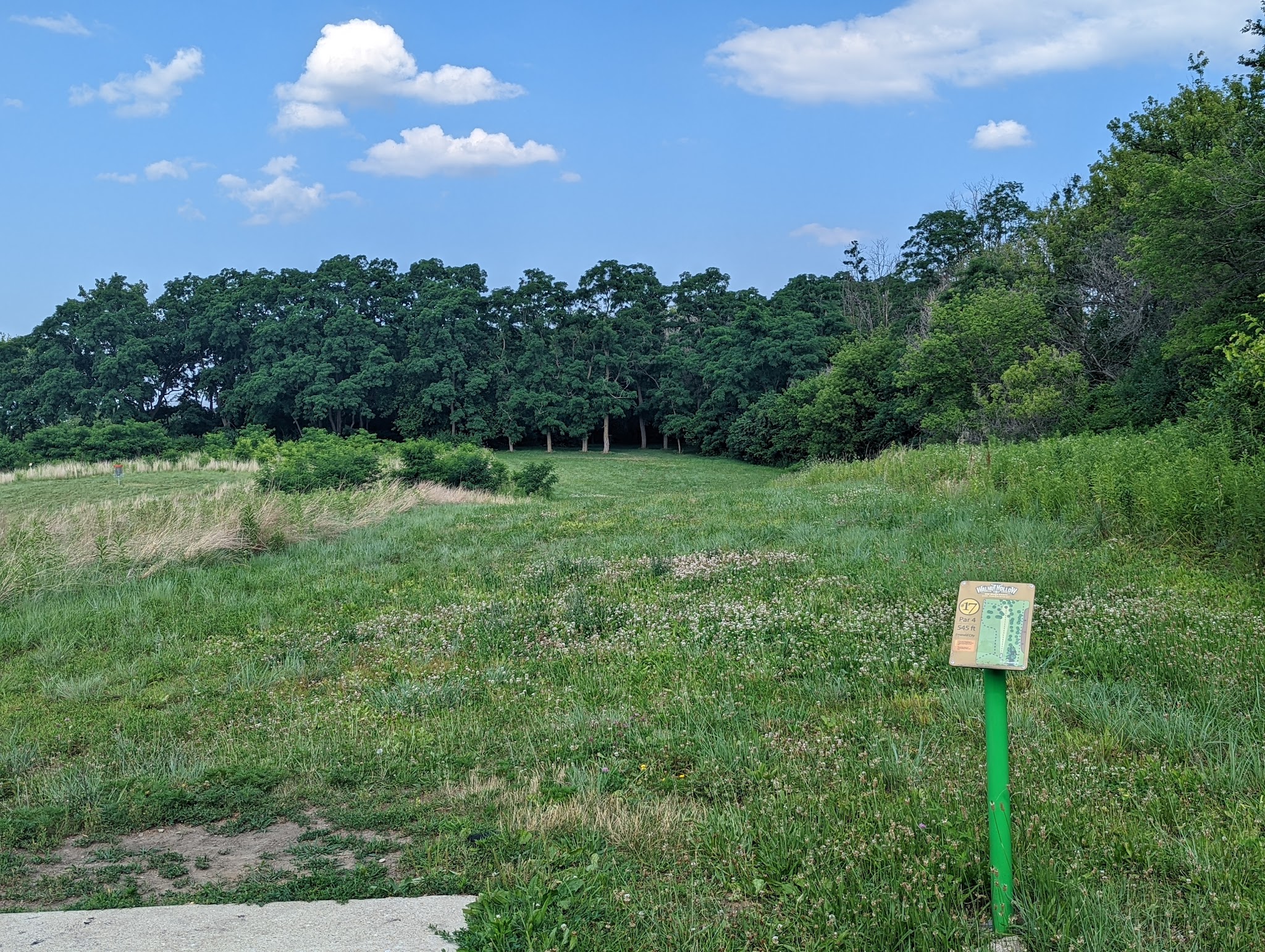 Hoffman Park - Cary, IL