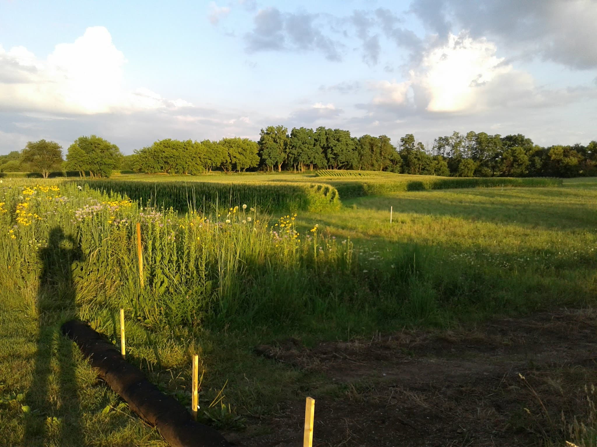 Hoffman Park - Cary, IL