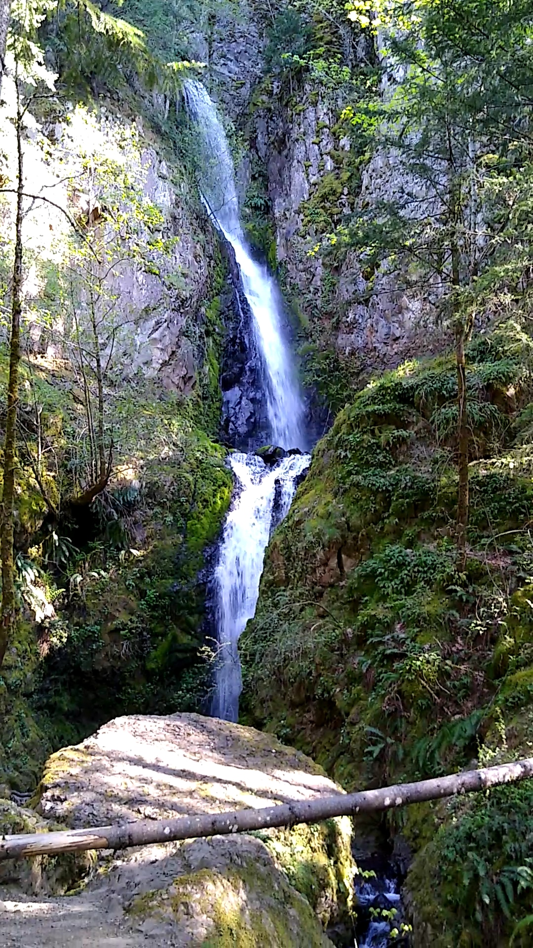 Starvation Creek State Park - Cascade Locks, OR