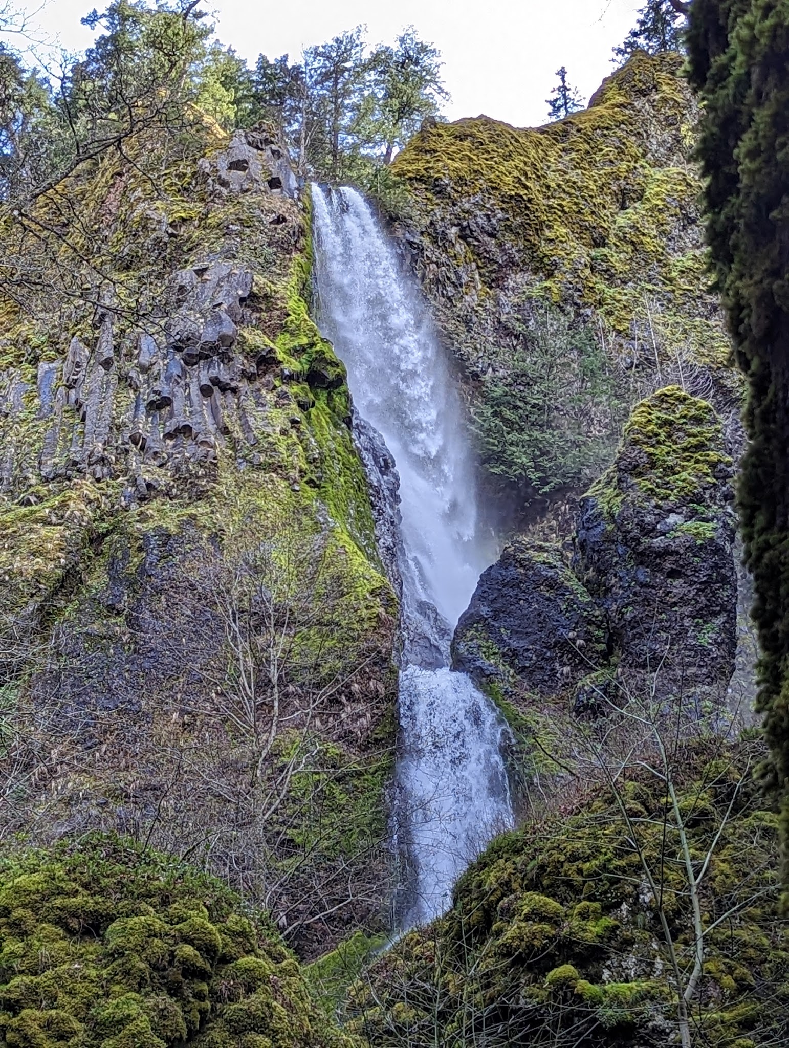 Starvation Creek State Park - Cascade Locks, OR