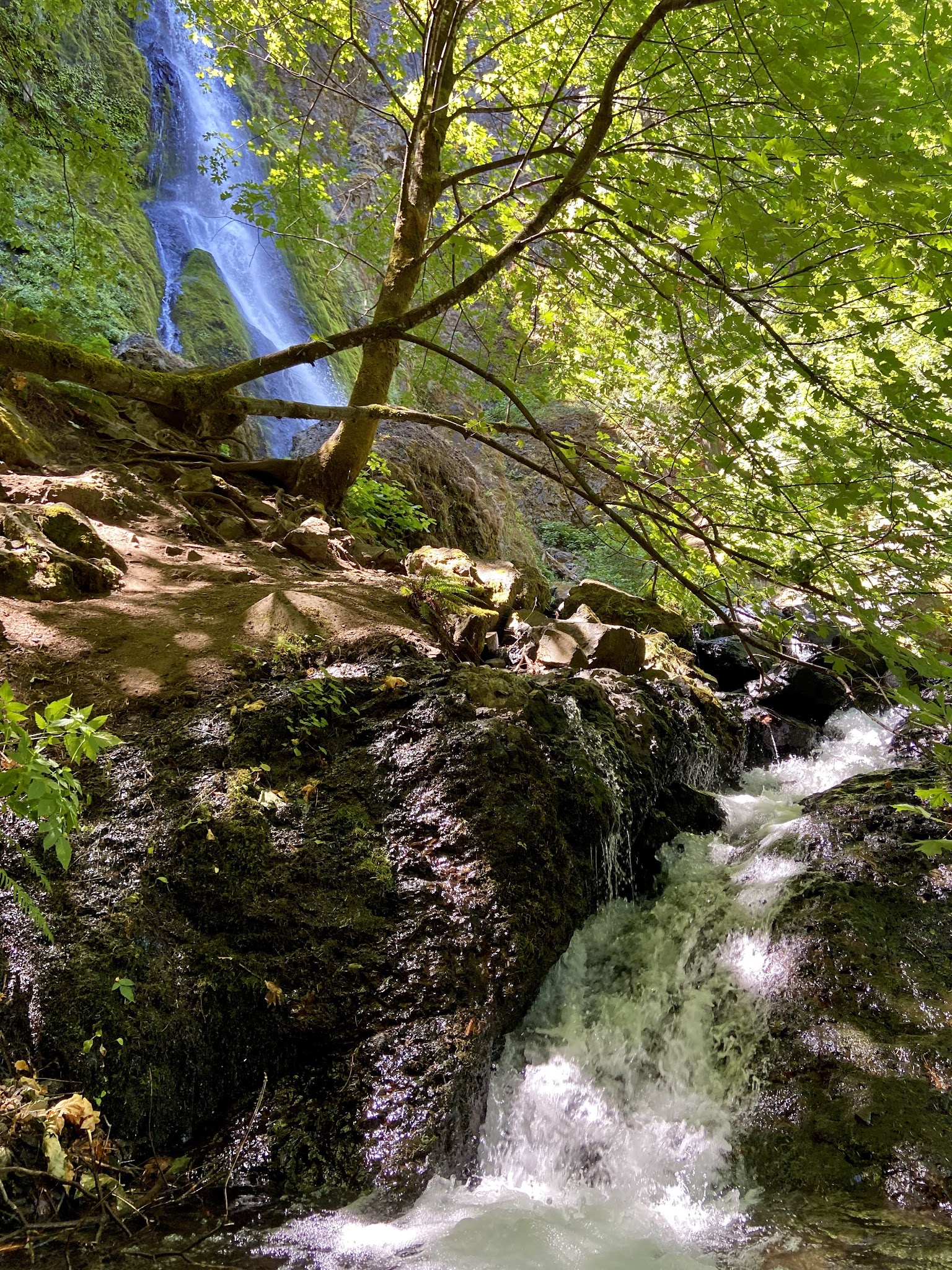Starvation Creek State Park - Cascade Locks, OR