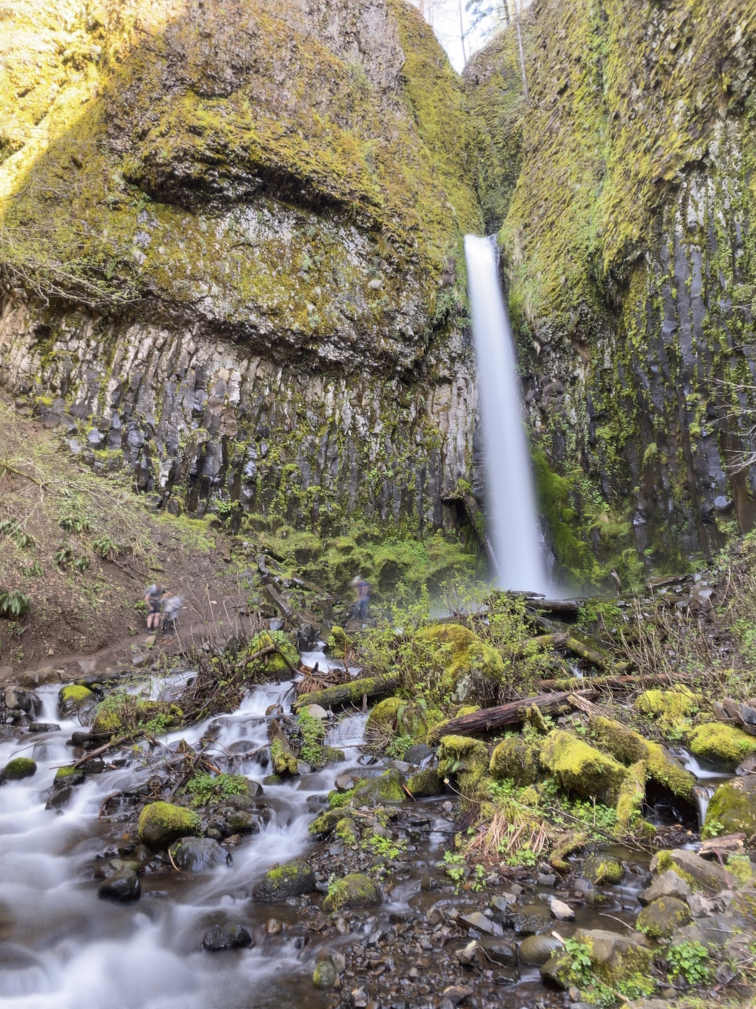 Dry Creek Falls - Cascade Locks, OR