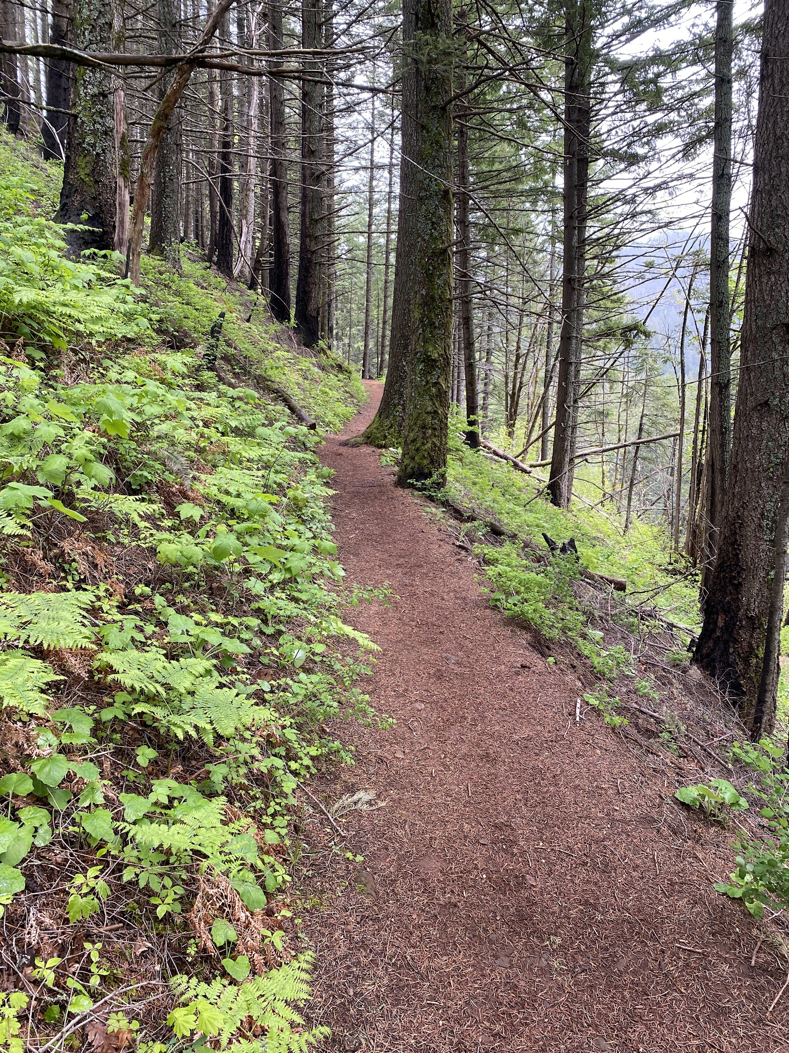 Herman Creek Trailhead - Cascade Locks, OR