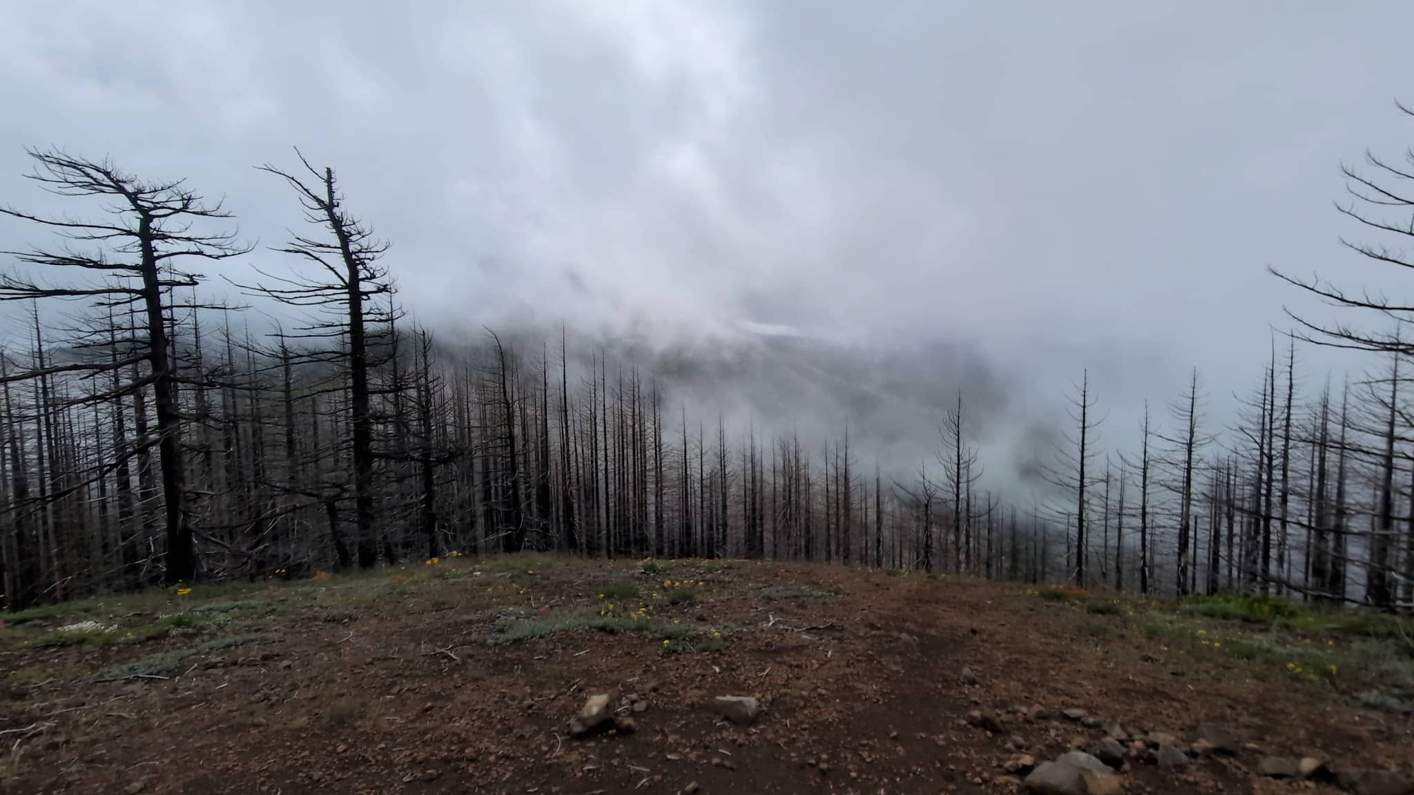 Herman Creek Trailhead - Cascade Locks, OR