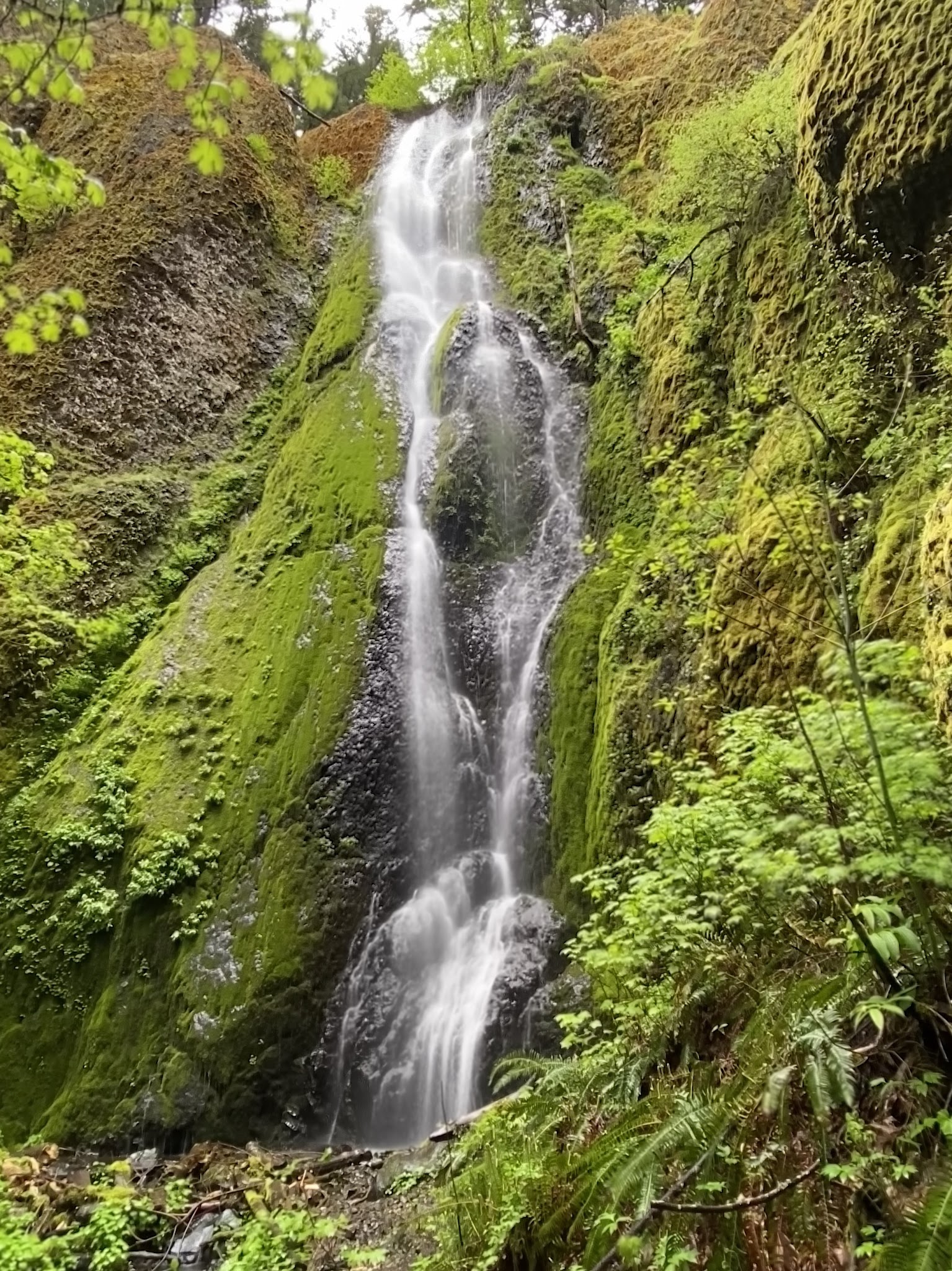 Herman Creek Trailhead - Cascade Locks, OR