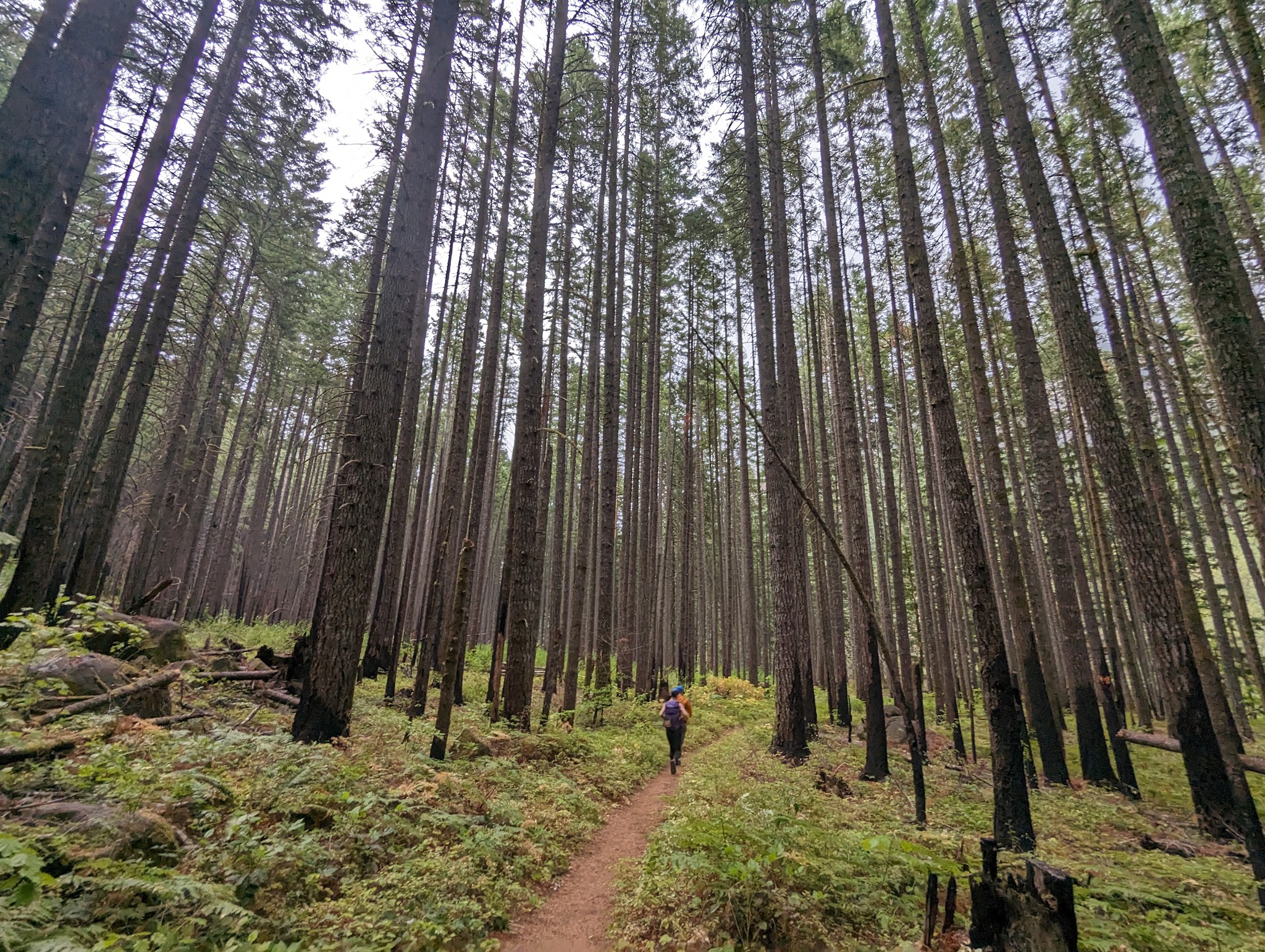 Herman Creek Trailhead - Cascade Locks, OR