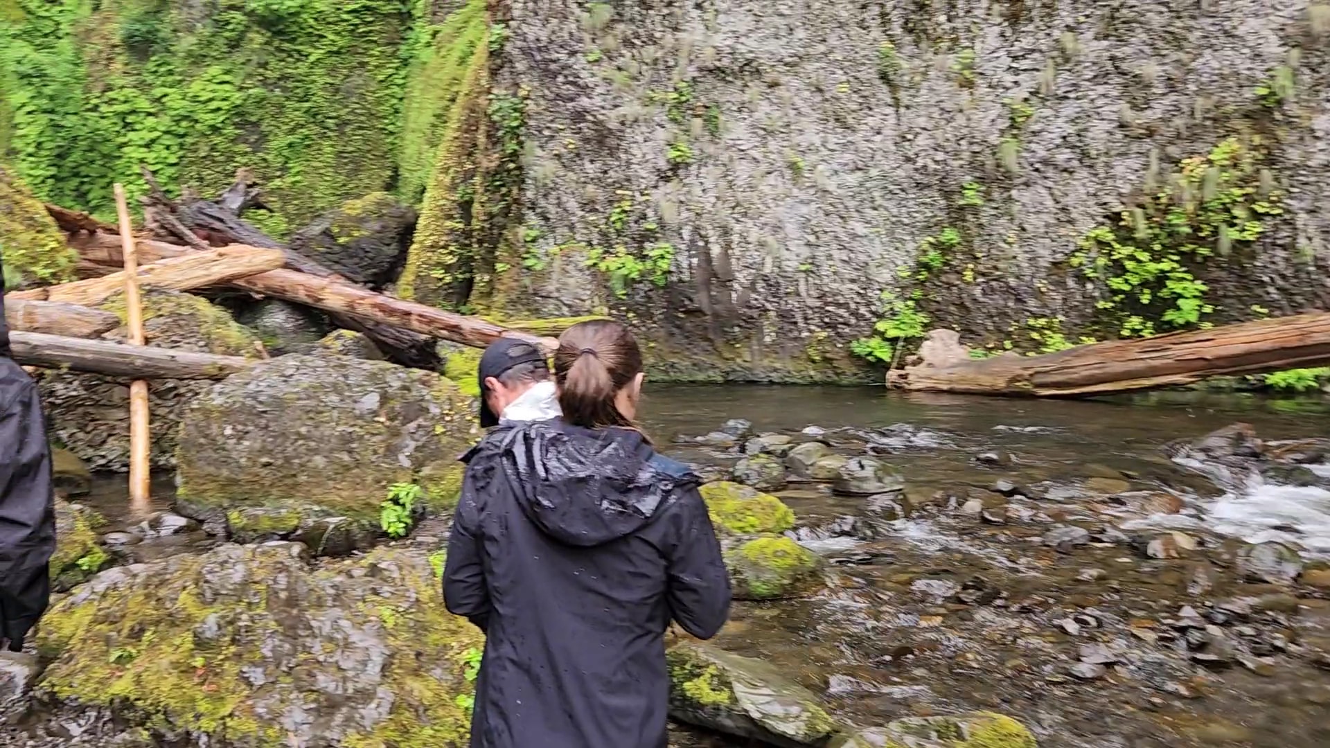 Wahclella Falls Trail - Cascade Locks, OR