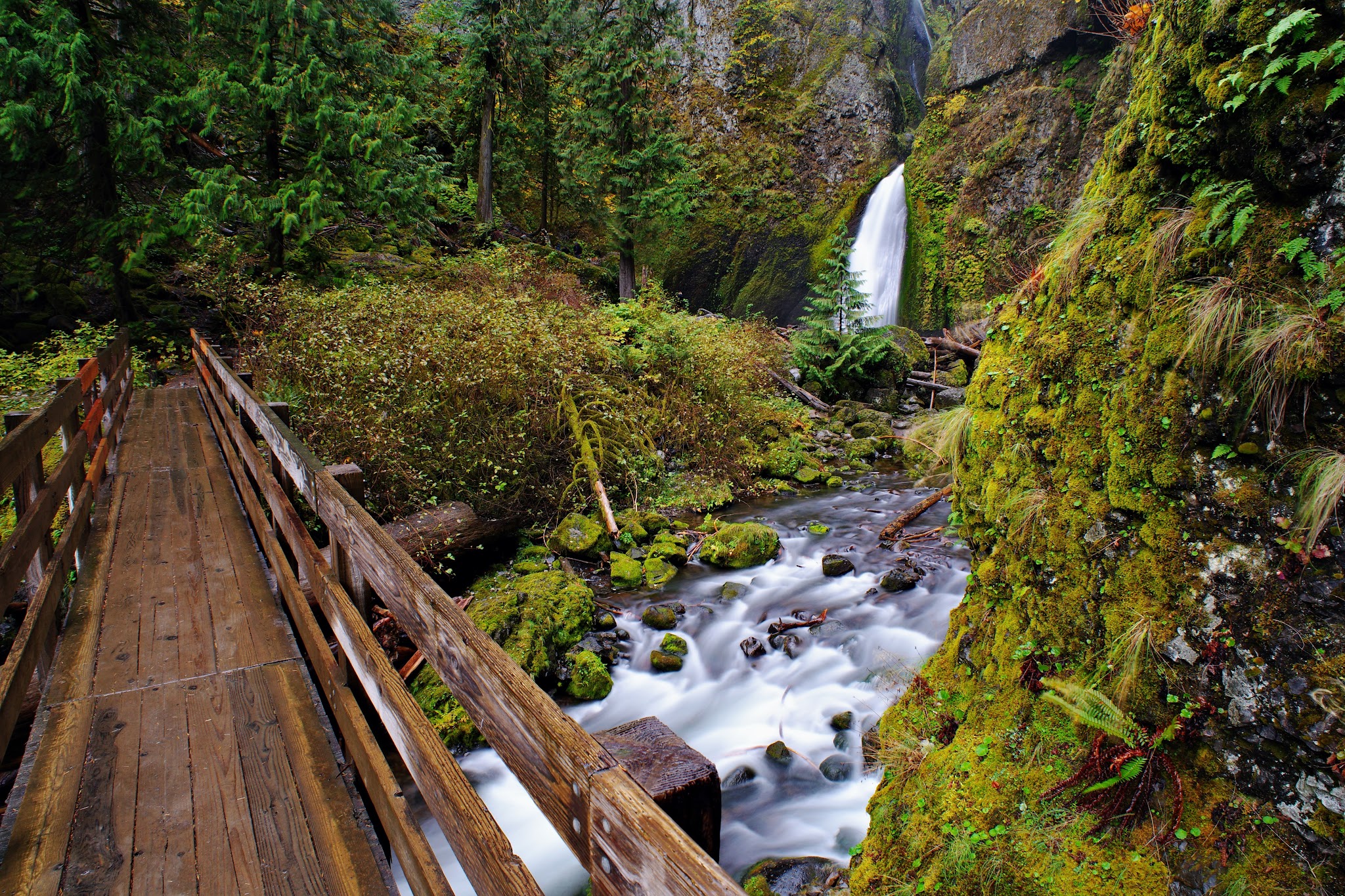 Wahclella Falls Trail - Cascade Locks, OR