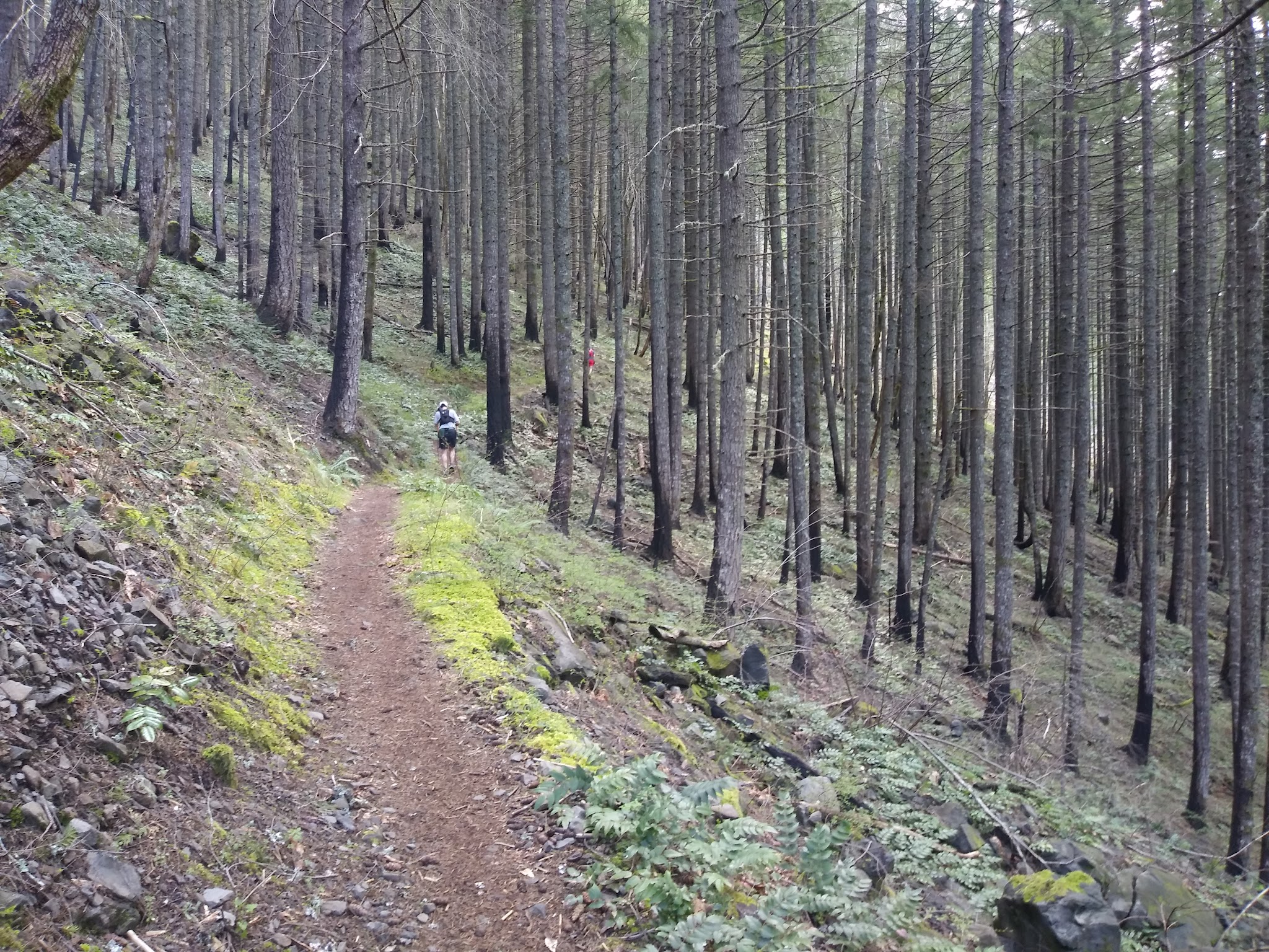 Wyeth Trailhead - Historic Columbia River Hwy State Trail - Cascade Locks, OR