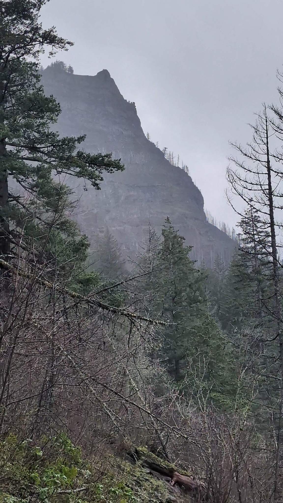Wyeth Trailhead - Historic Columbia River Hwy State Trail - Cascade Locks, OR