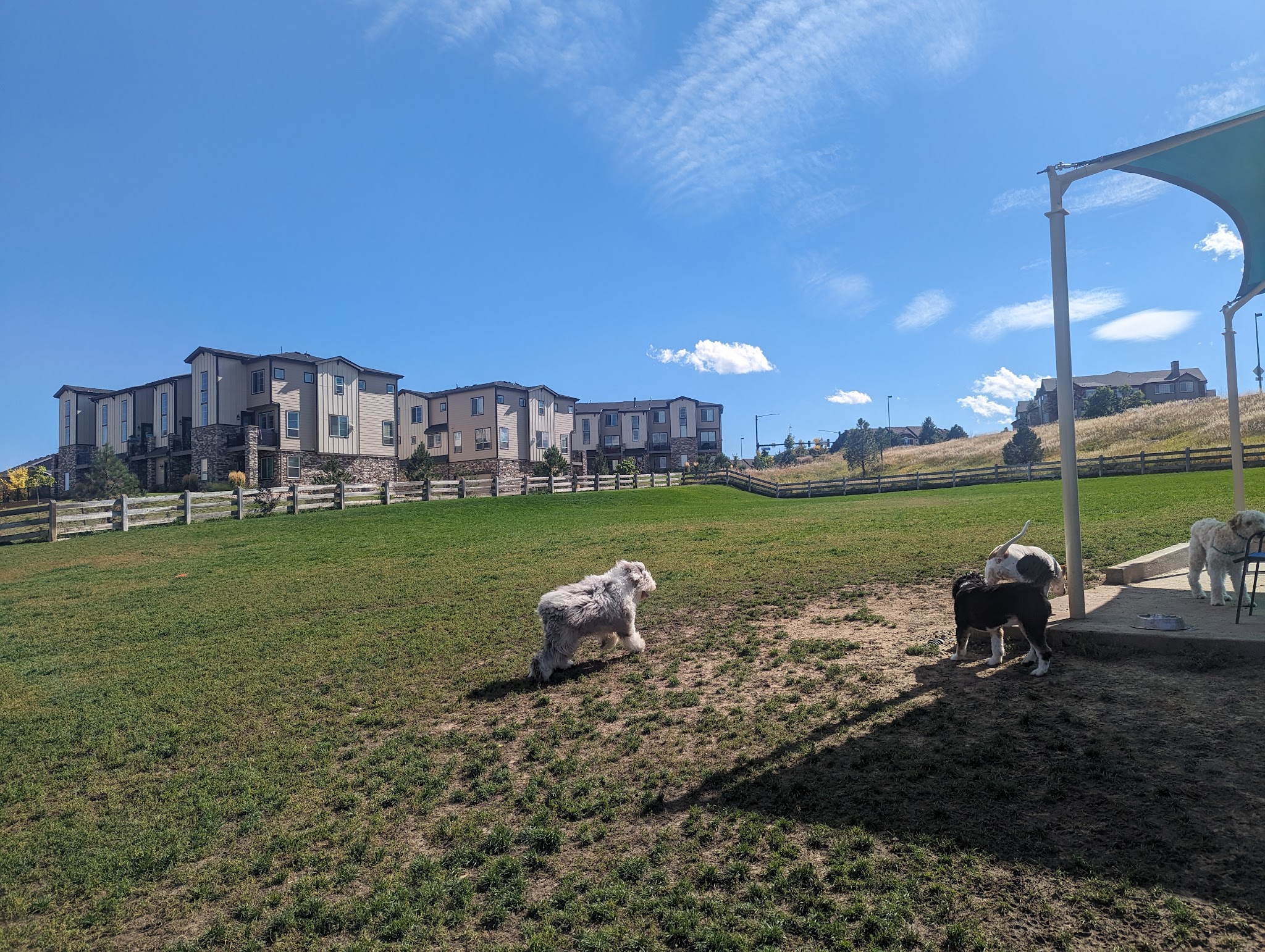Douglas County Off-leash Area - Castle Rock, CO