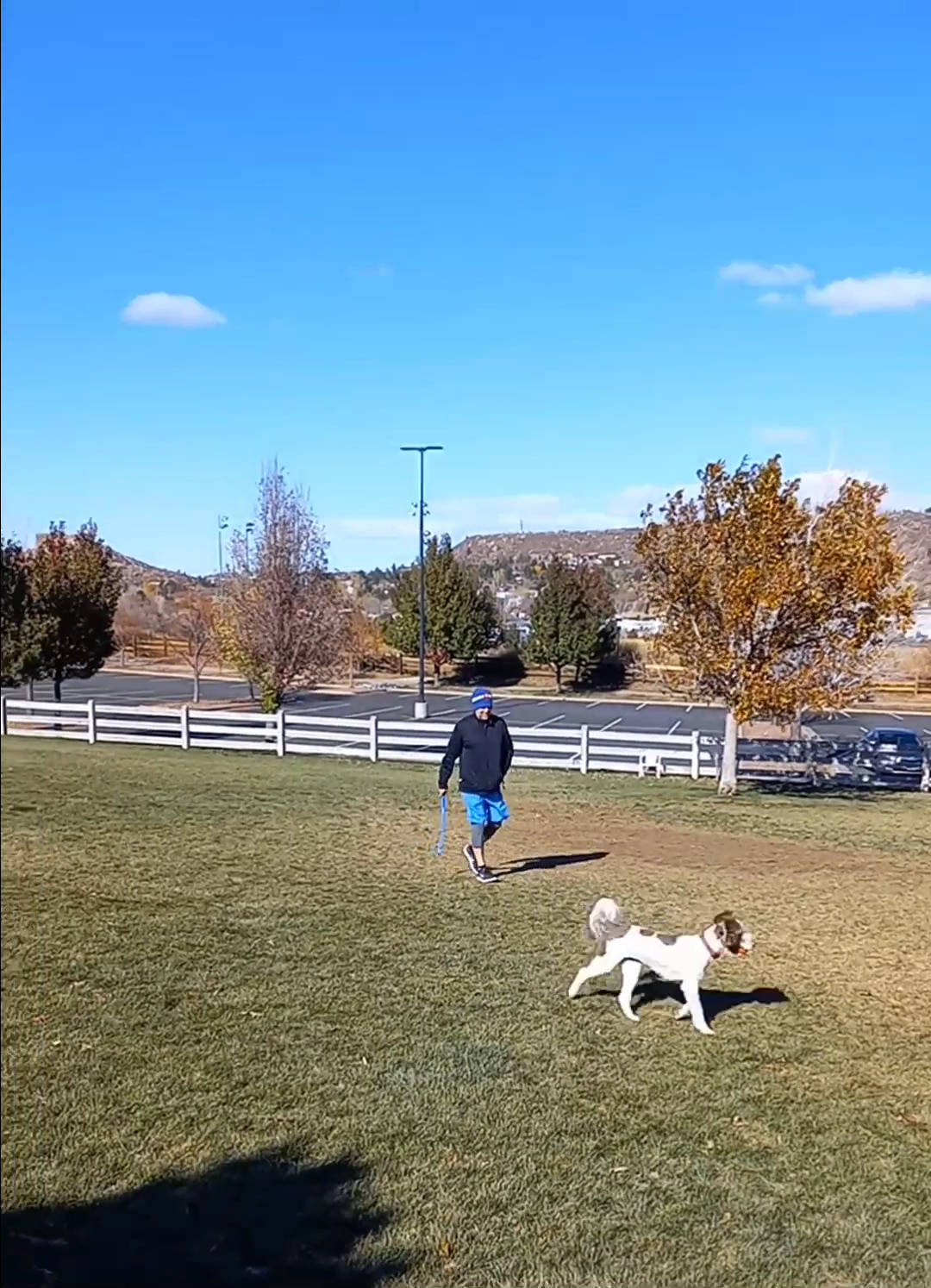 Douglas County Off-leash Area - Castle Rock, CO