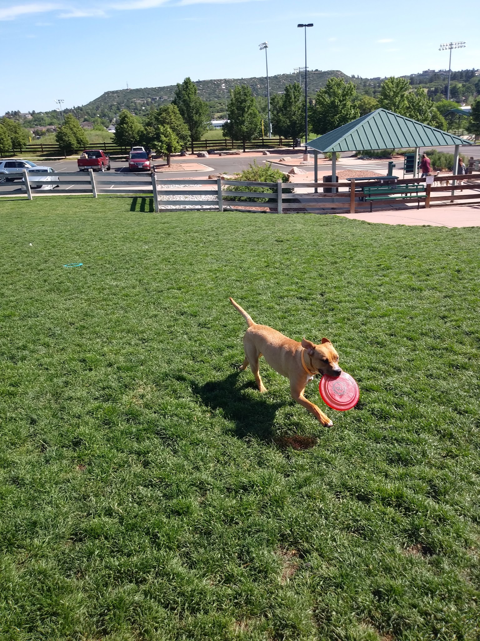 Douglas County Off-leash Area - Castle Rock, CO