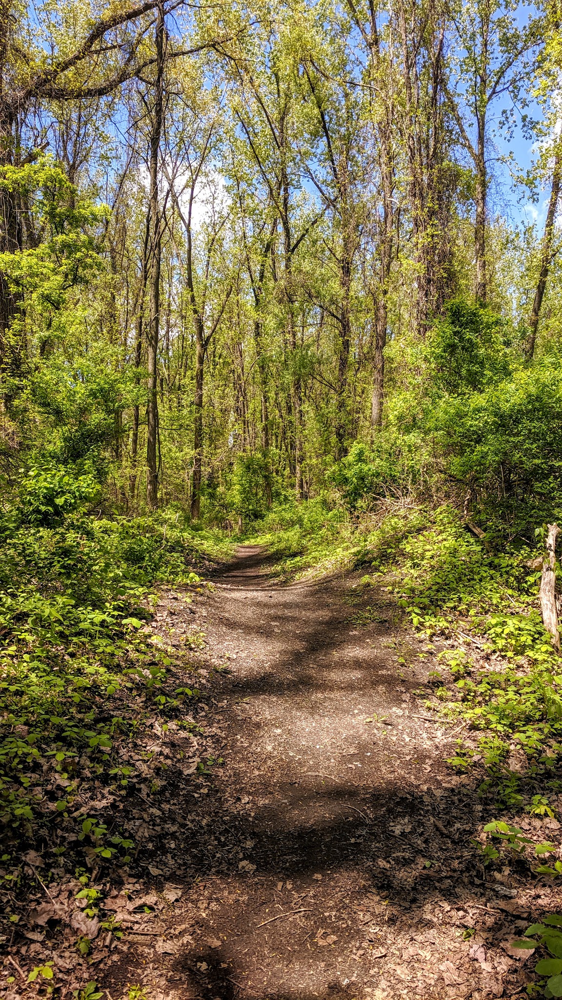 Papscanee Island Nature Preserve - Castleton-On-Hudson, NY
