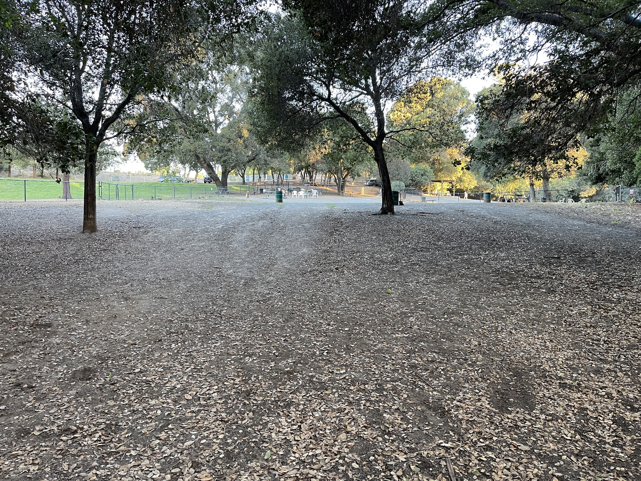 Earl Warren Dog Park - Castro Valley, CA