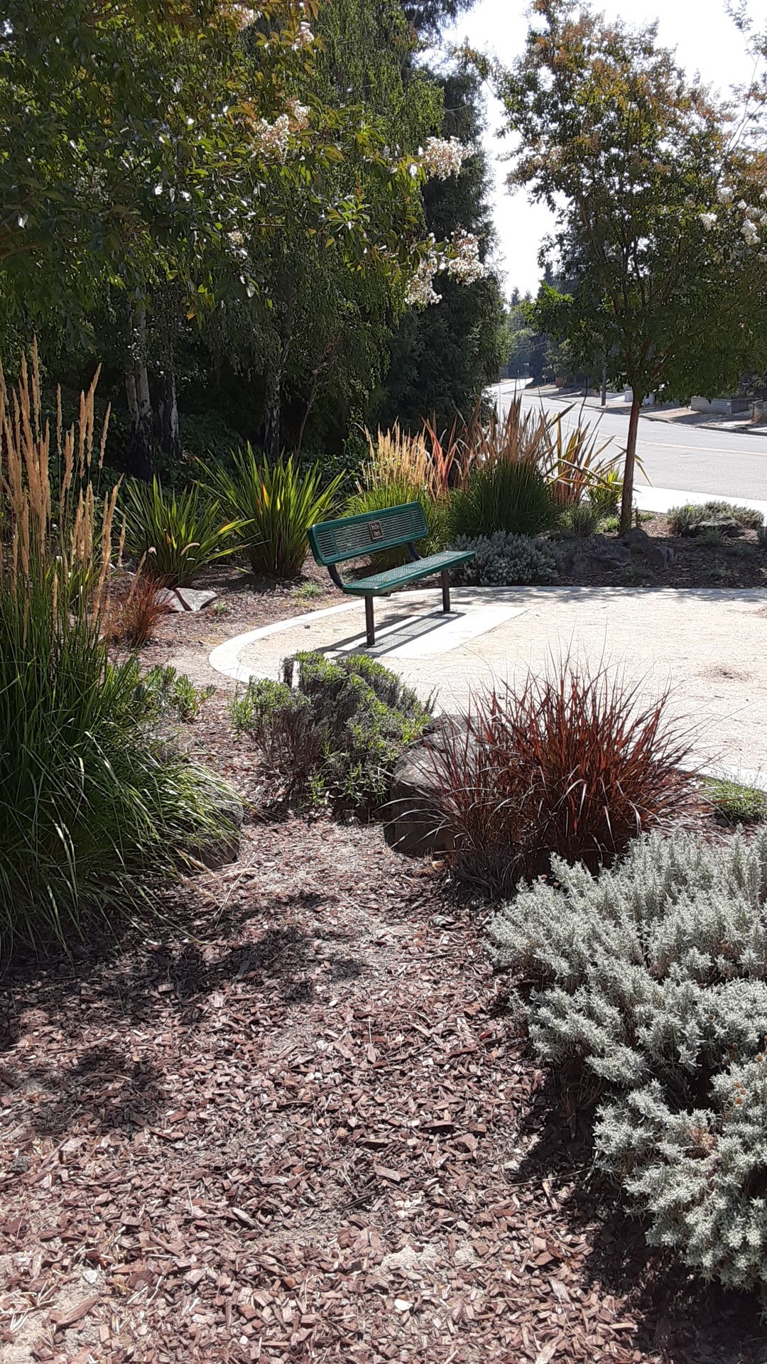 Riche Park - Castro Valley, CA