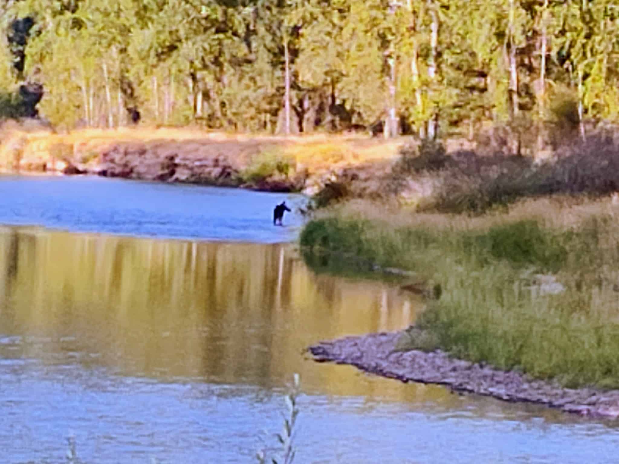 Cataldo Trailhead - Cataldo, ID