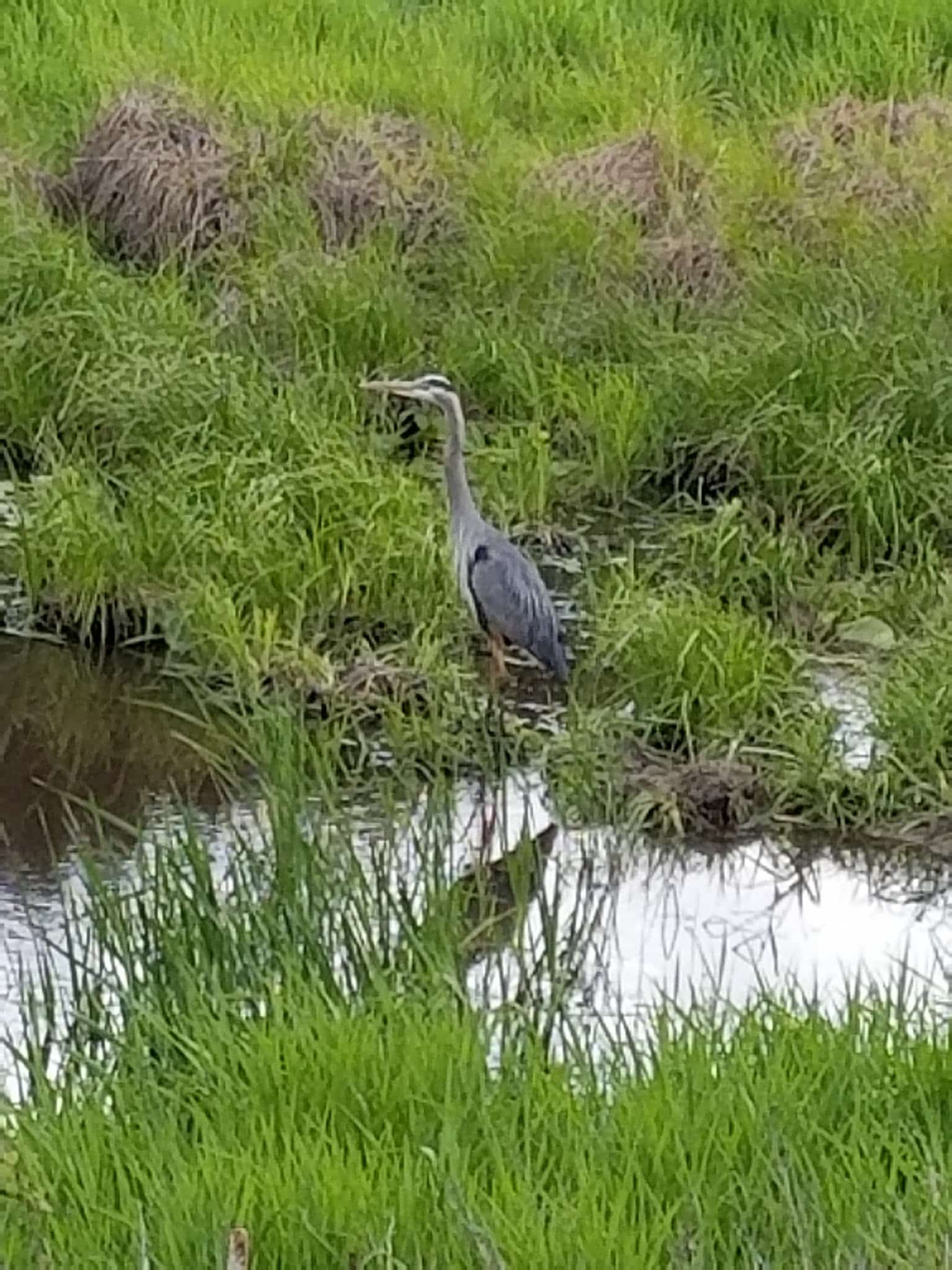 Cataldo Trailhead - Cataldo, ID