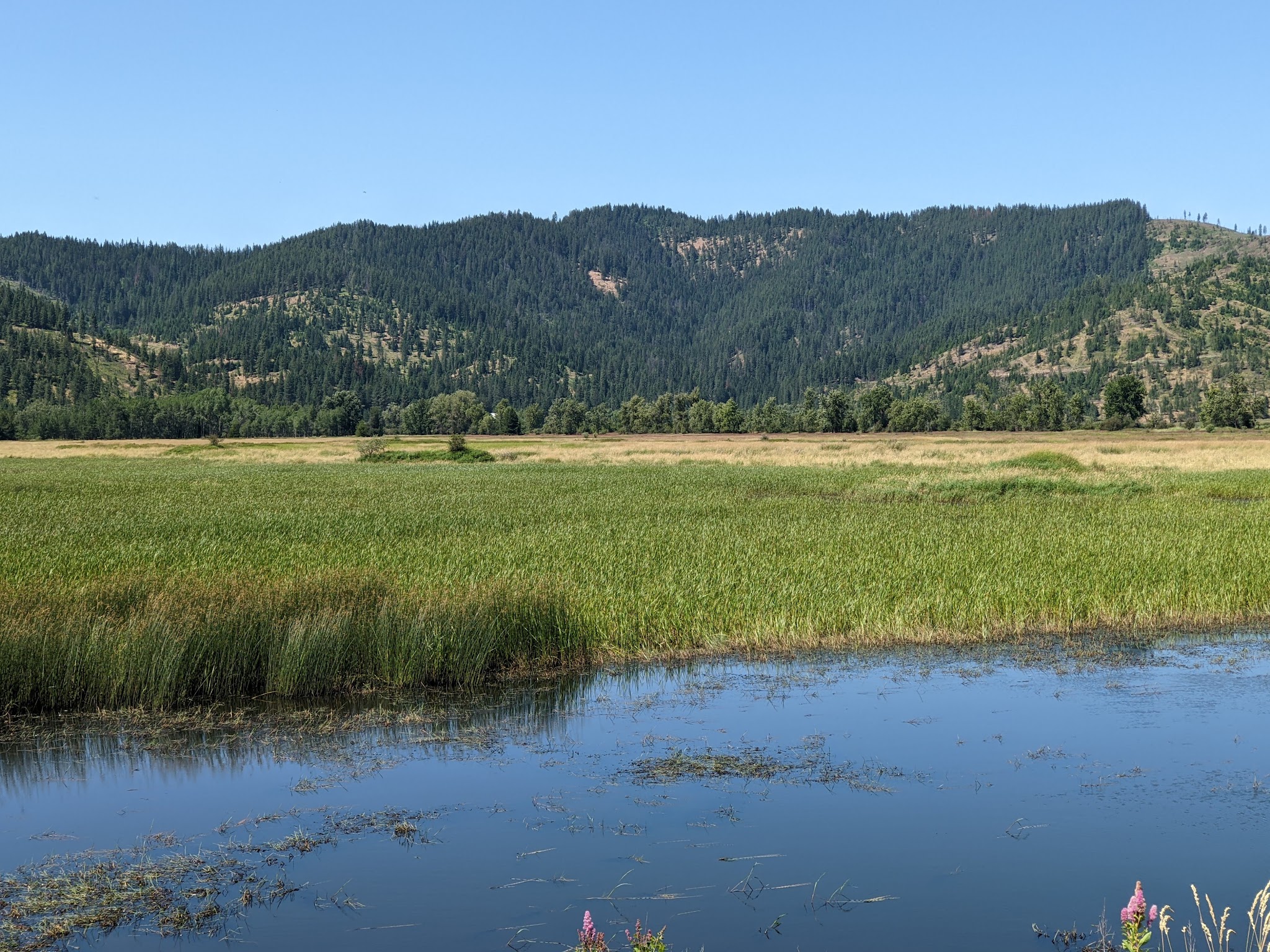 Trail of the Coeur d’Alenes - Cataldo, ID