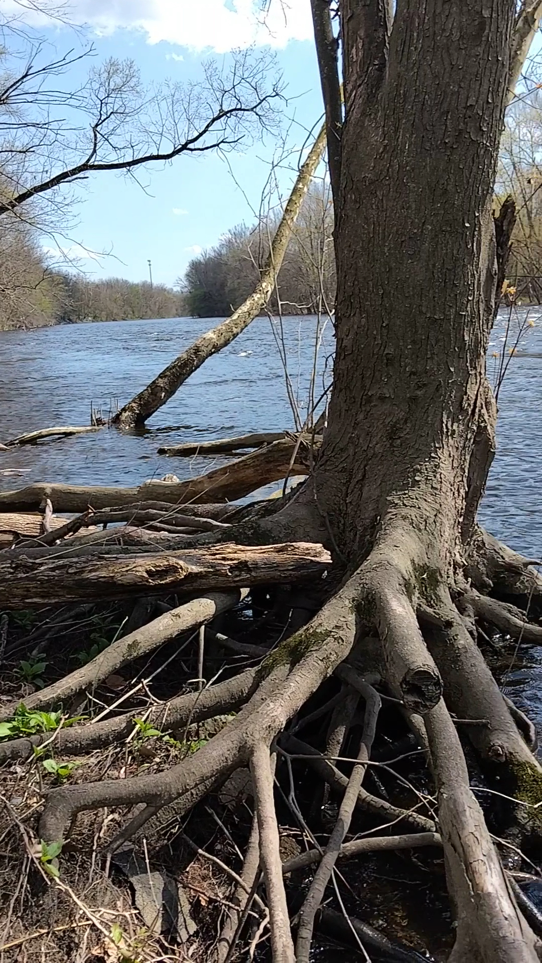 D&L Trail - North Catasauqua Trailhead - Catasauqua, PA