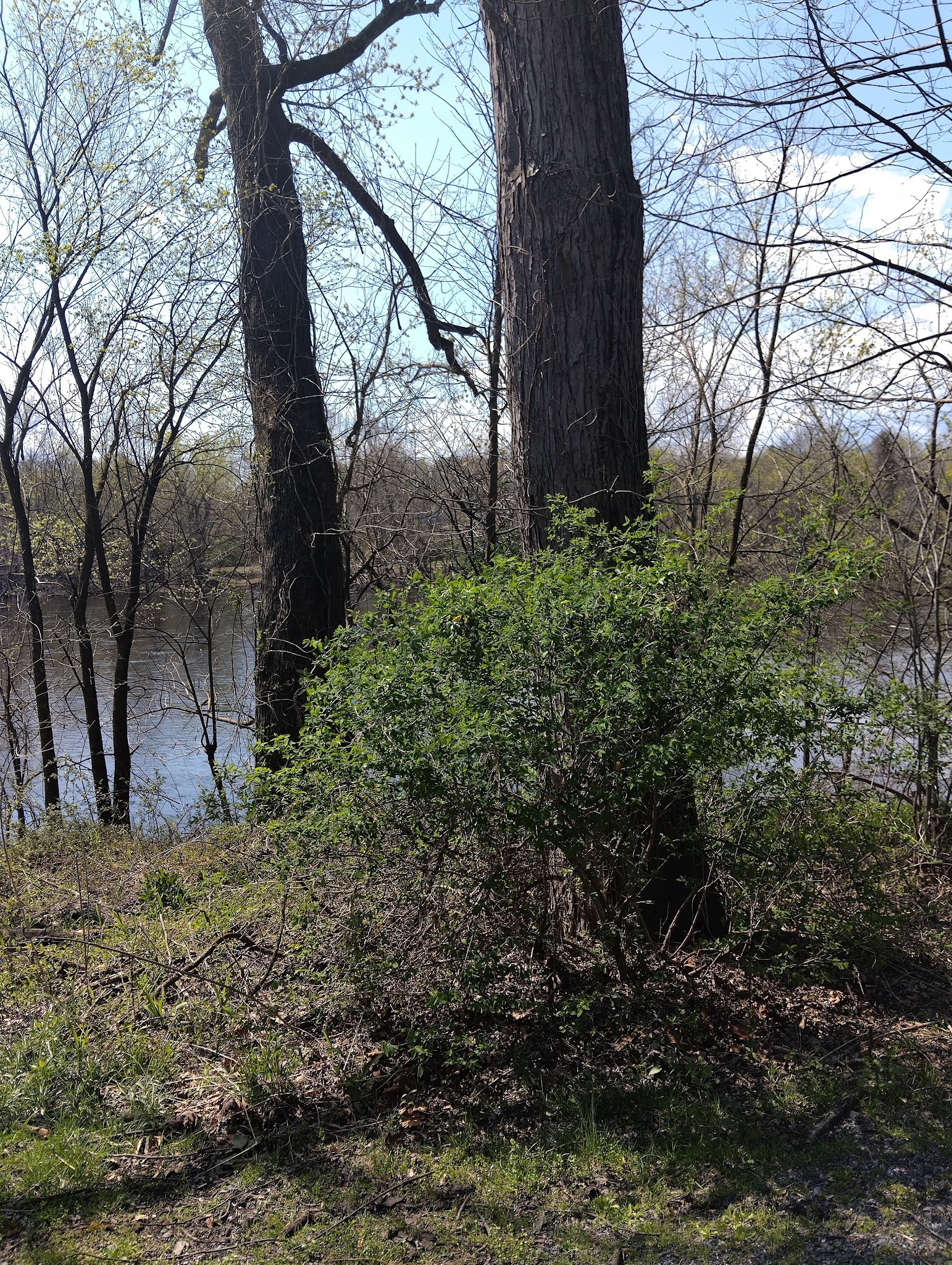 D&L Trail - North Catasauqua Trailhead - Catasauqua, PA